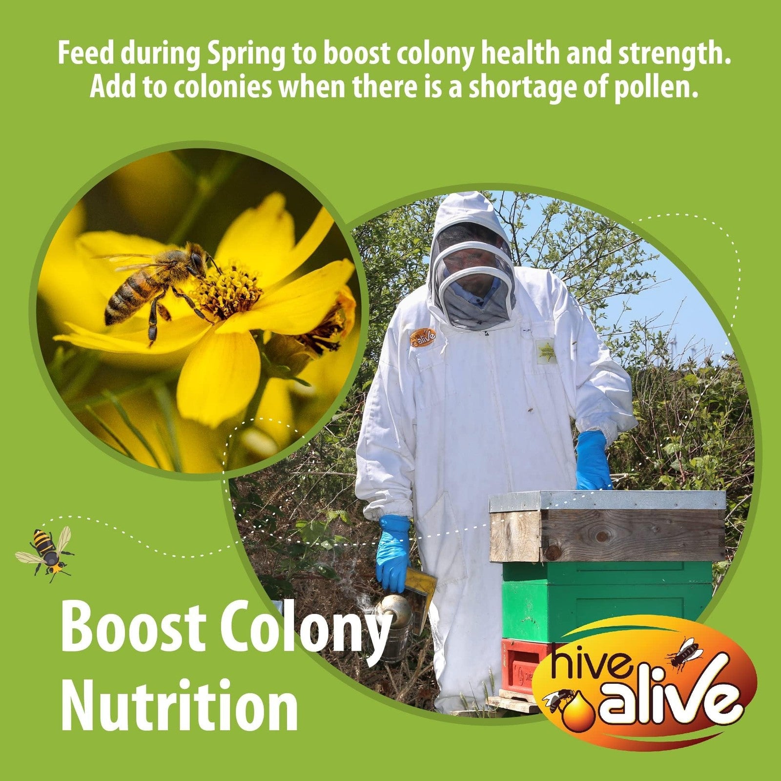 Hive Alive pollen patty for honey bees, 10 lb pack, showing 10 individual bee food patties in a natural hive setting.