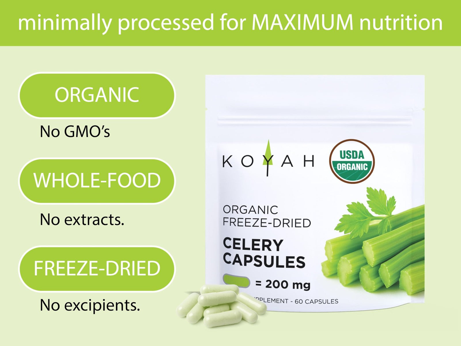 KOYAH organic celery capsules with 200 mg freeze-dried whole-stalk powder, showing the capsules and fresh celery stalks.