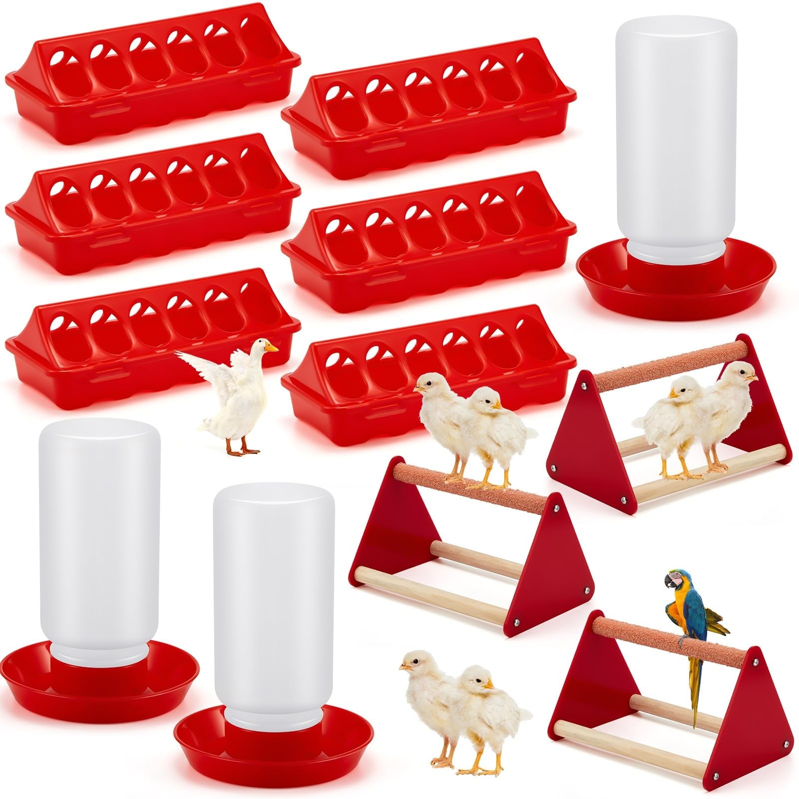 Patelai 12-piece chick feeder and waterer kit with mini perches, designed for poultry feeding and watering supplies.