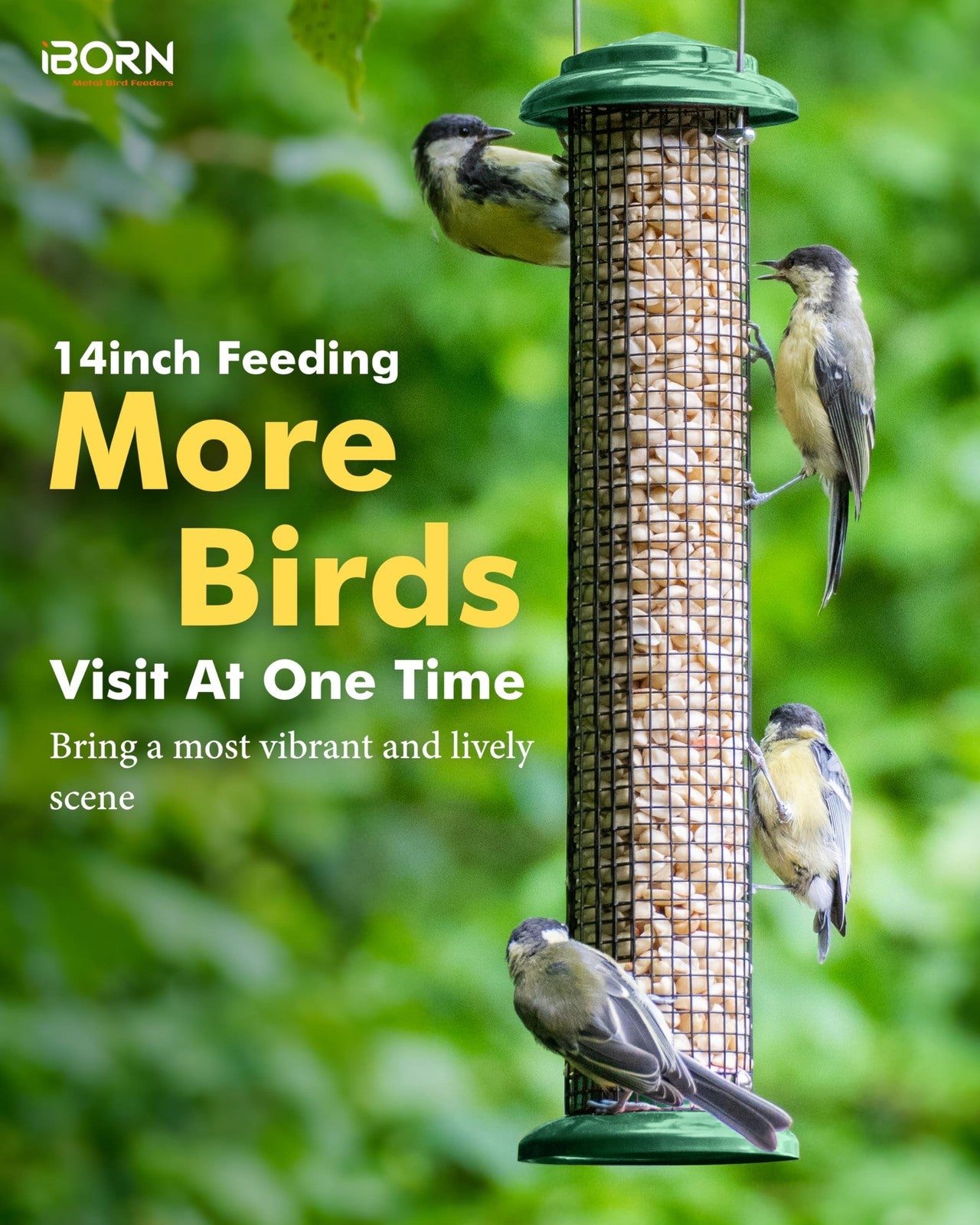 iBorn 14-inch metal mesh bird feeder for outdoors, designed for peanuts and sunflower seeds, ideal for attracting backyard birds