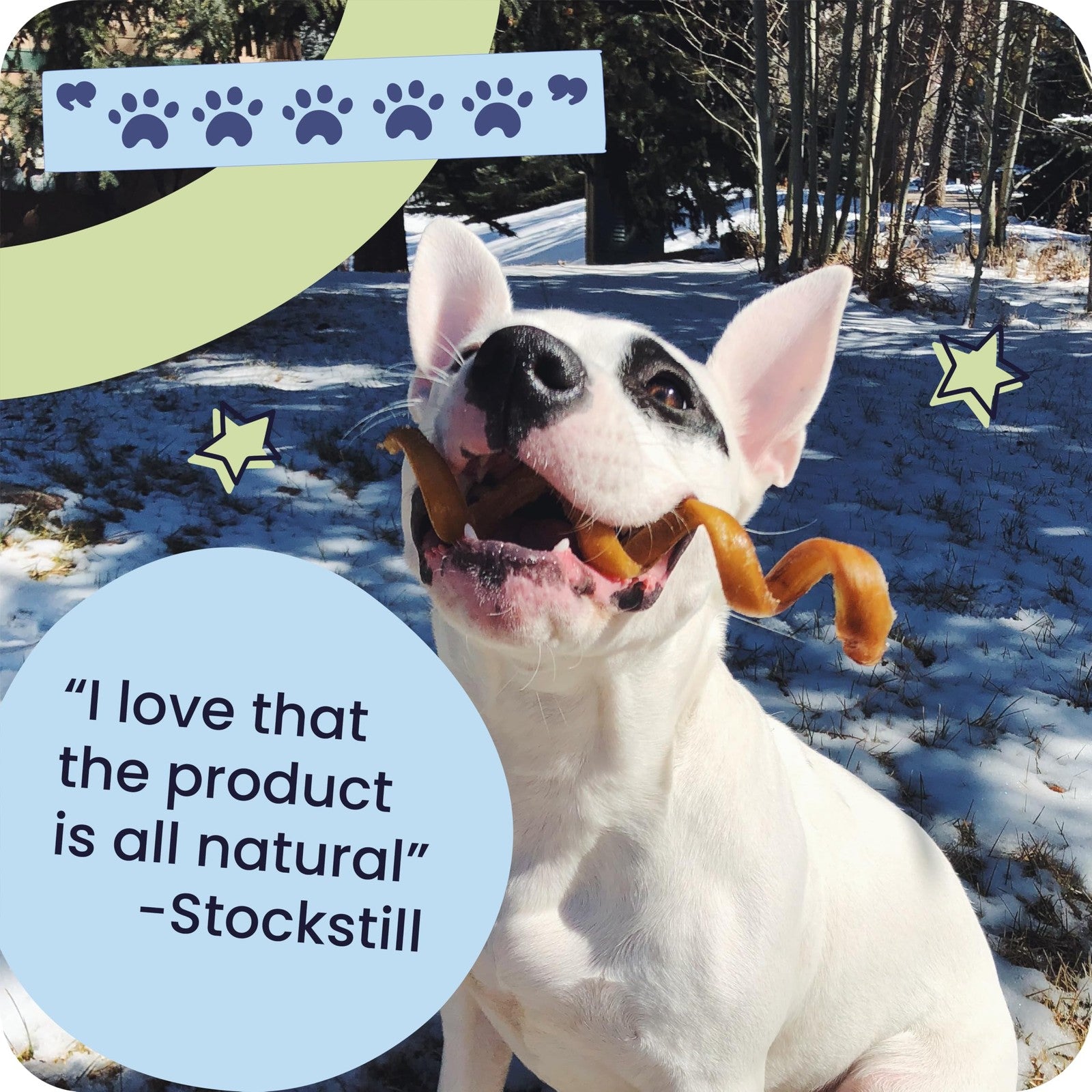 Pawstruck 12-inch all-natural bully stick for dogs, rawhide-free and low odor, shown on a white background.