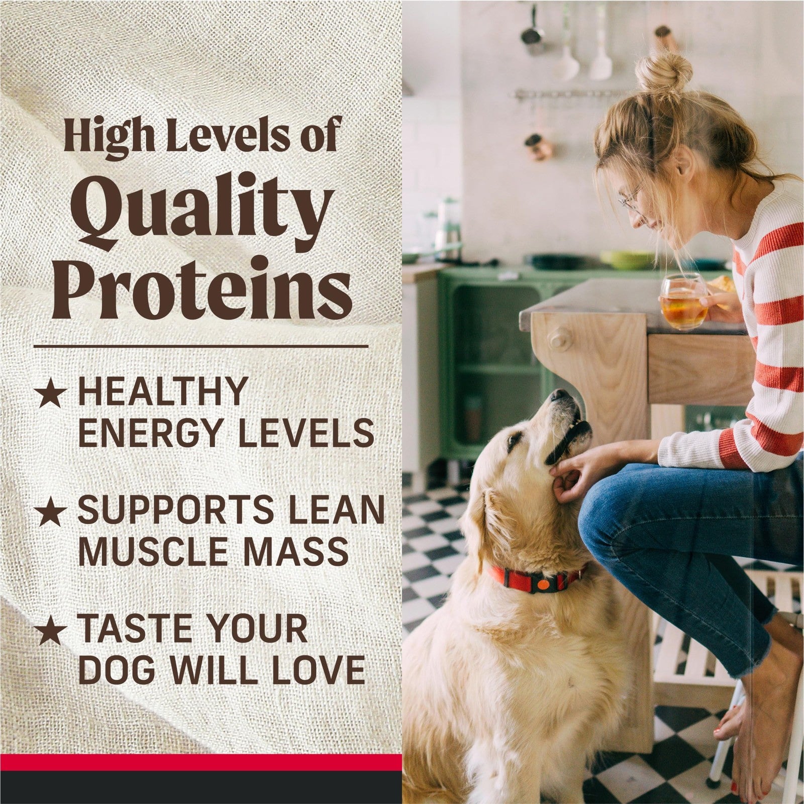 Canned Merrick Backcountry Grain-Free Premium Dog Food in a soft, healthy wet food formula for dogs.
