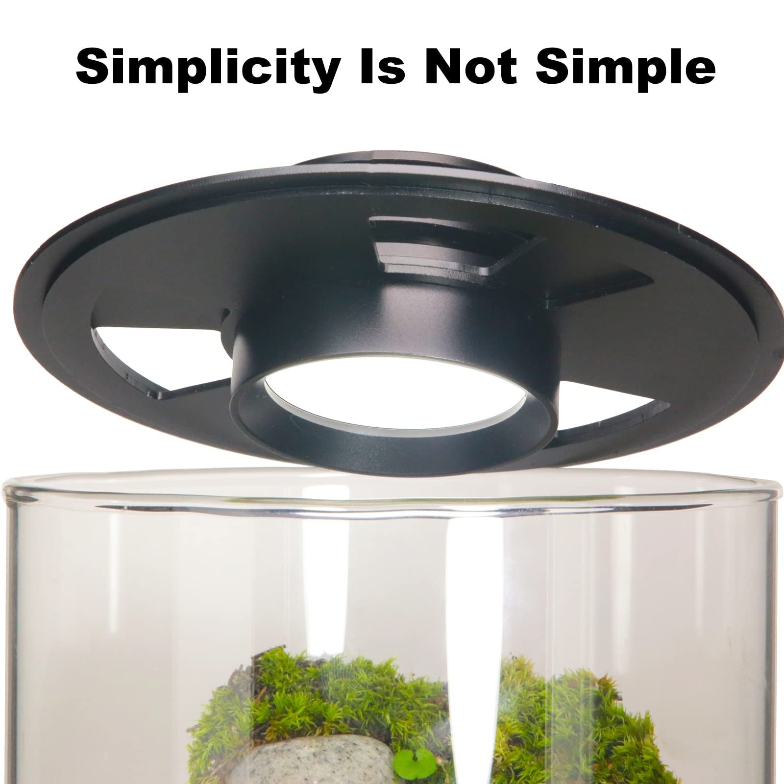 Glass desktop plant terrarium with integrated grow light, 9.8 inches tall and 5.9 inches deep, ideal for succulents by AREPK