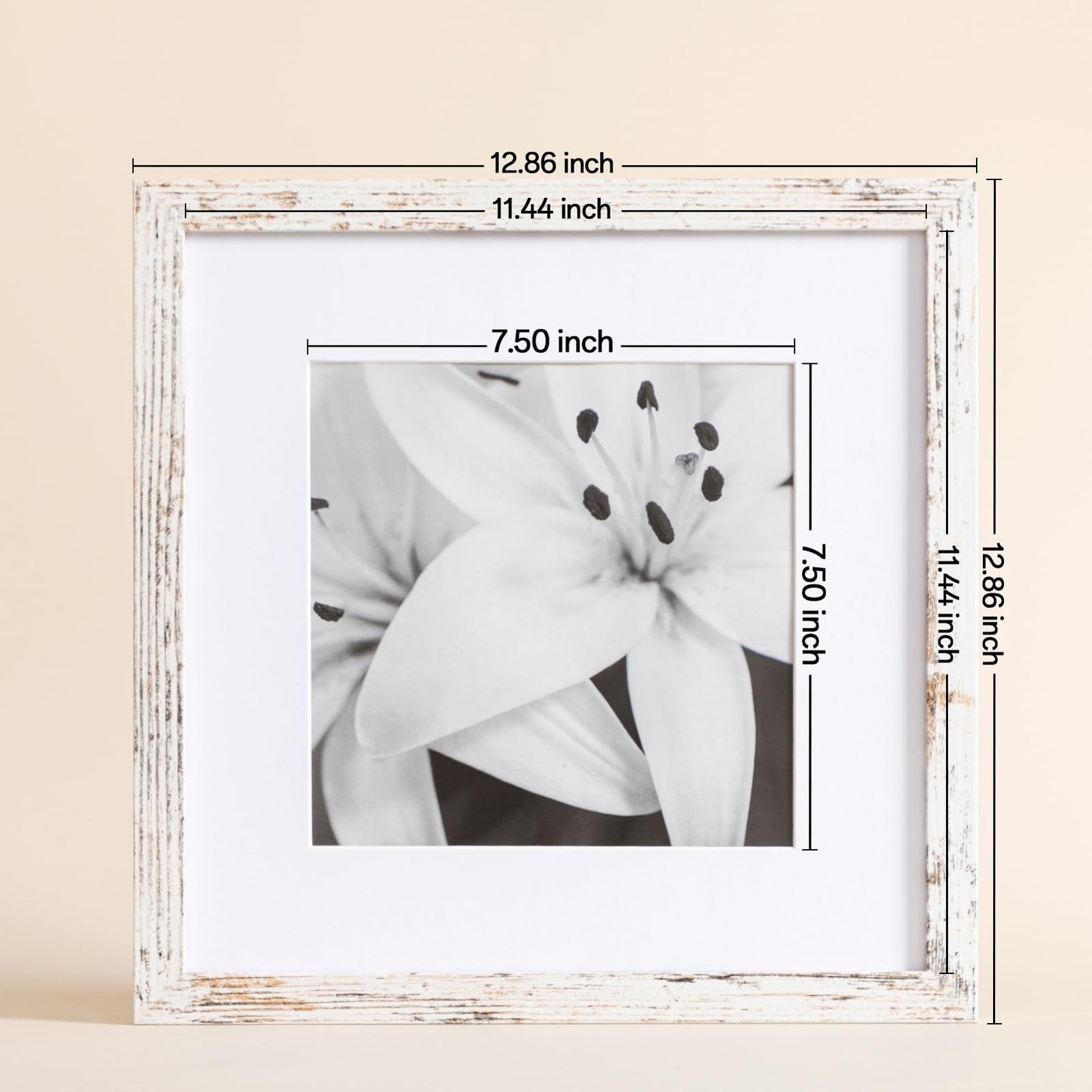 Set of nine eletecpro 12x12 picture frames with mats for 8x8 photos or without mats, showcasing modern black border design.