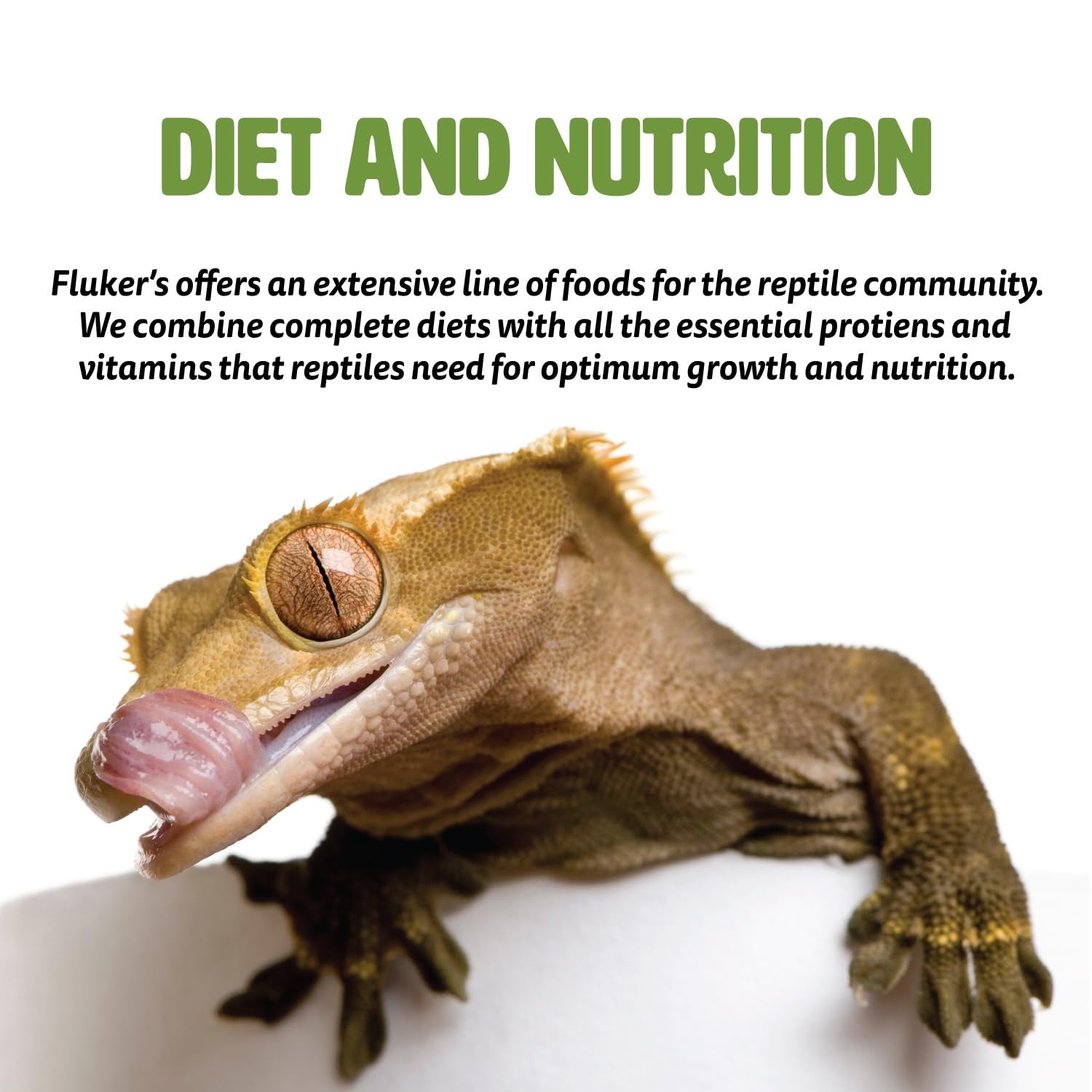 Large sun-dried red shrimp turtle food treat by Fluker's, showcasing natural, high-protein turtle snack with vibrant red shrimp pieces.