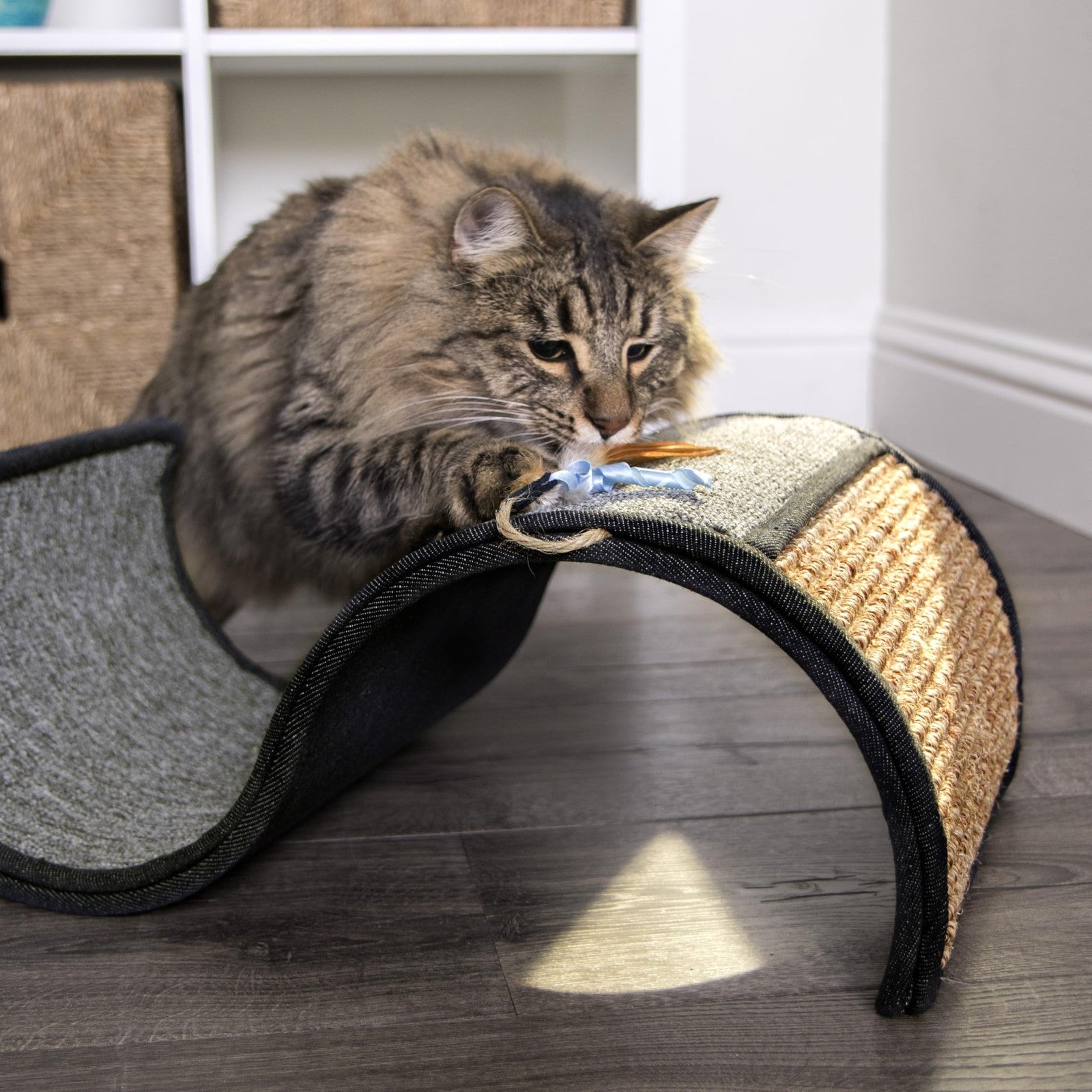 Petlinks Dream Curl Carpet Cat Scratcher with sisal surfaces, lounge area, and visible catnip for feline entertainment and scratching.