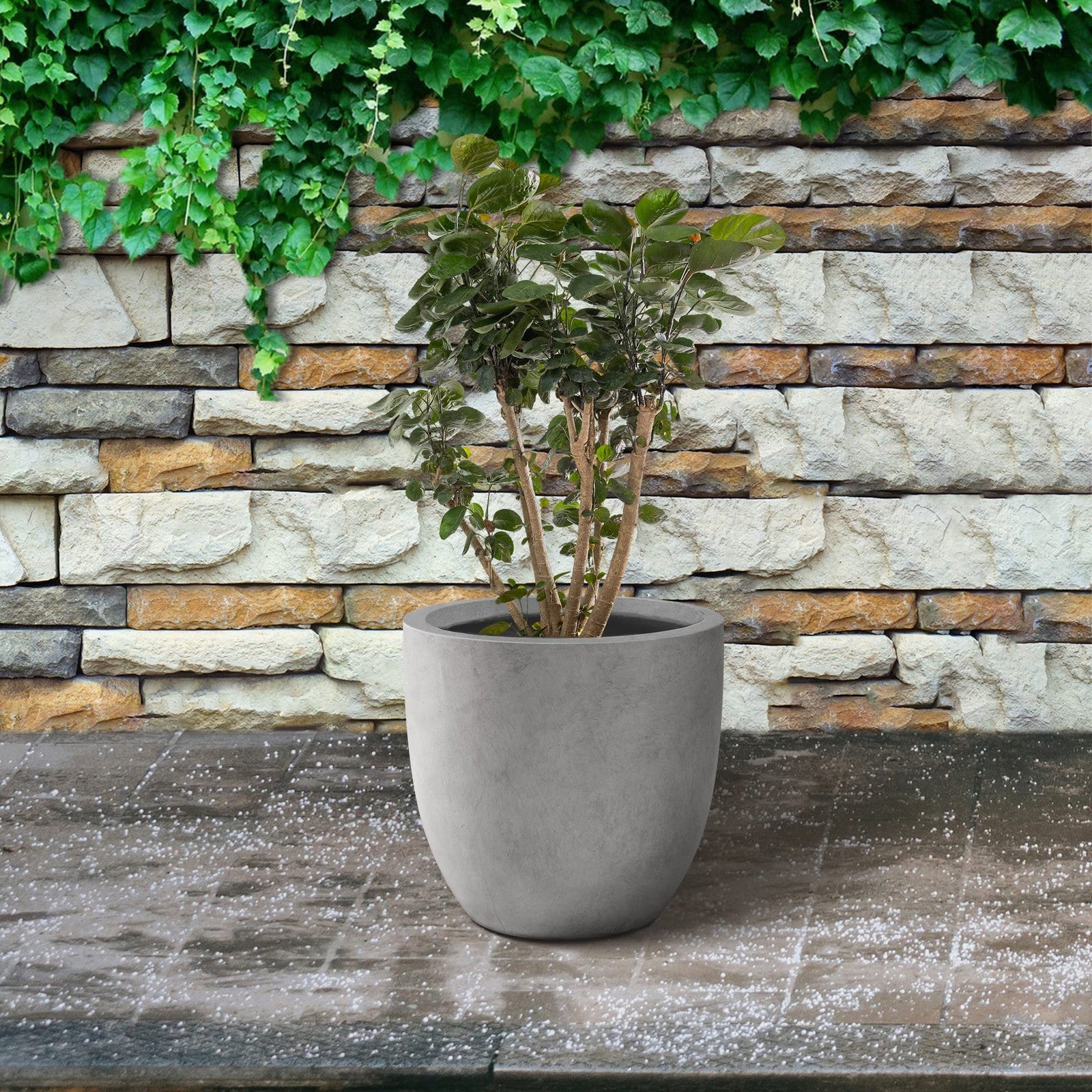 Large round Kante concrete planter with 13.4-inch diameter, modern outdoor and indoor decorative garden container.