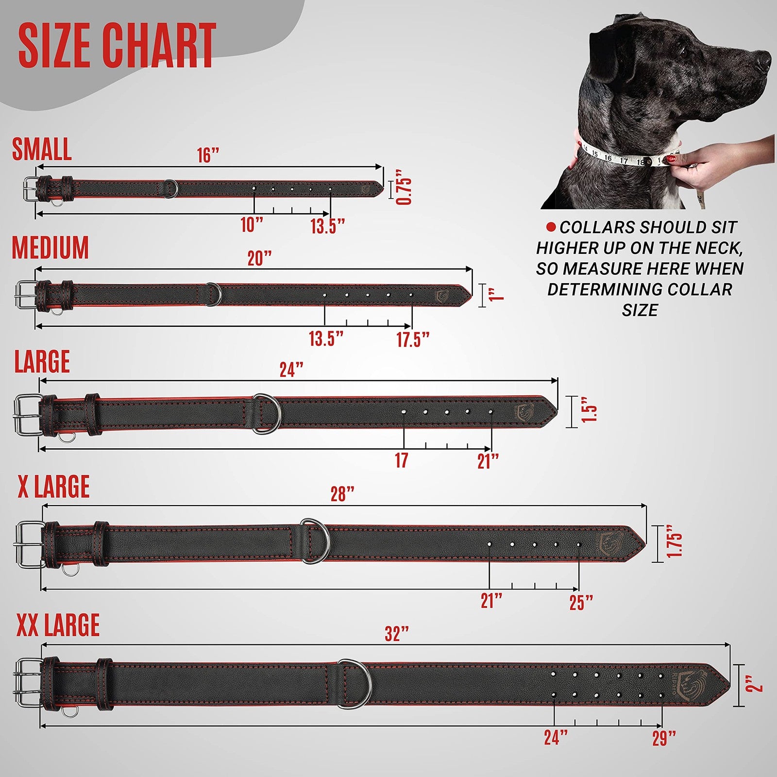 Riparo Motorsports adjustable leather dog collar, heavy-duty wide design with metal buckle and stitching, suitable for large dogs.