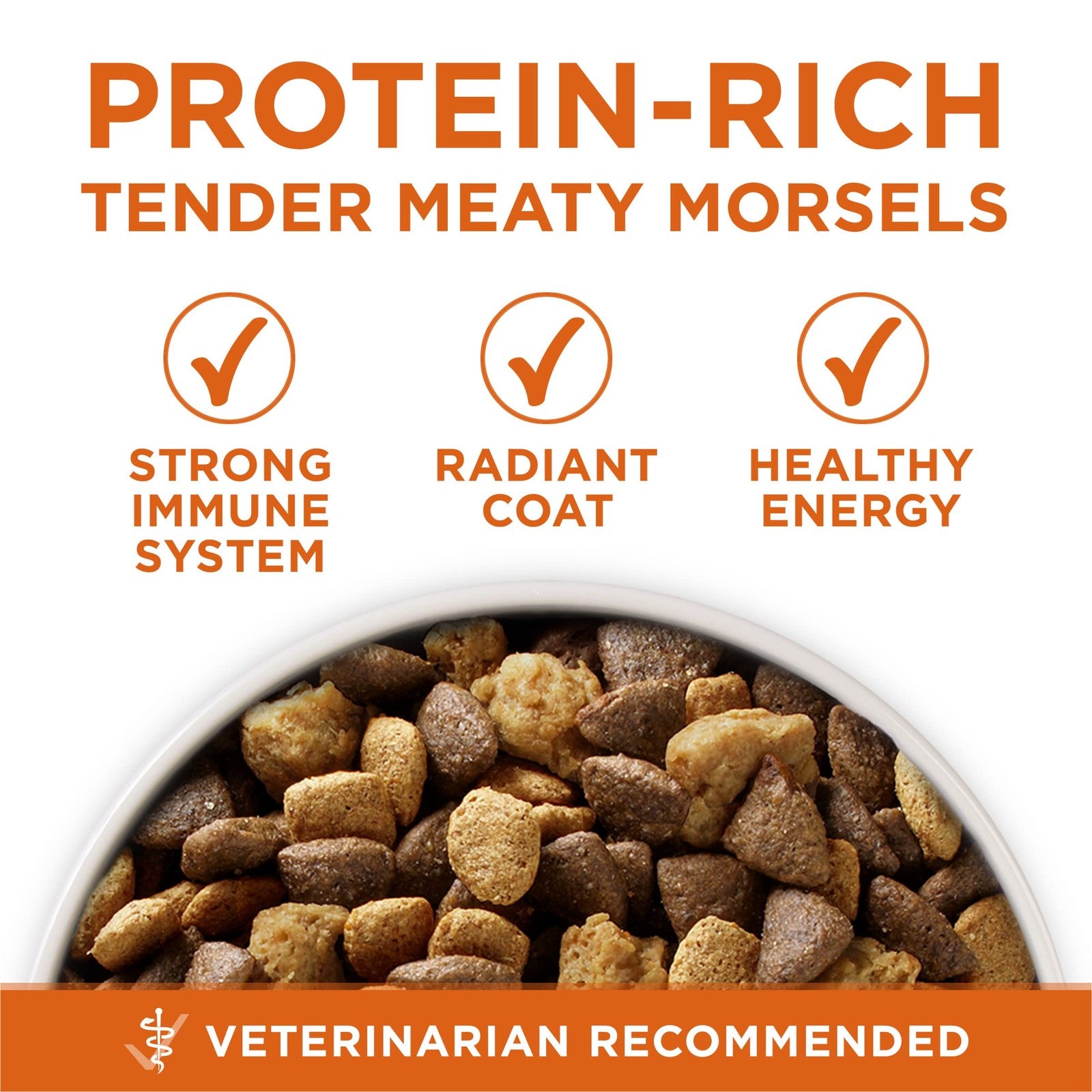Bag of Purina ONE +Plus Healthy Weight high-protein dry dog food, 31.1 lb bag with image of the product packaging.