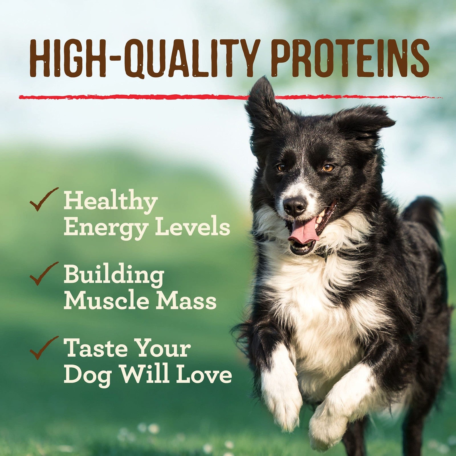 Canned Merrick Grain-Free Dog Food with soft, healthy, natural ingredients in a convenient wet food can.