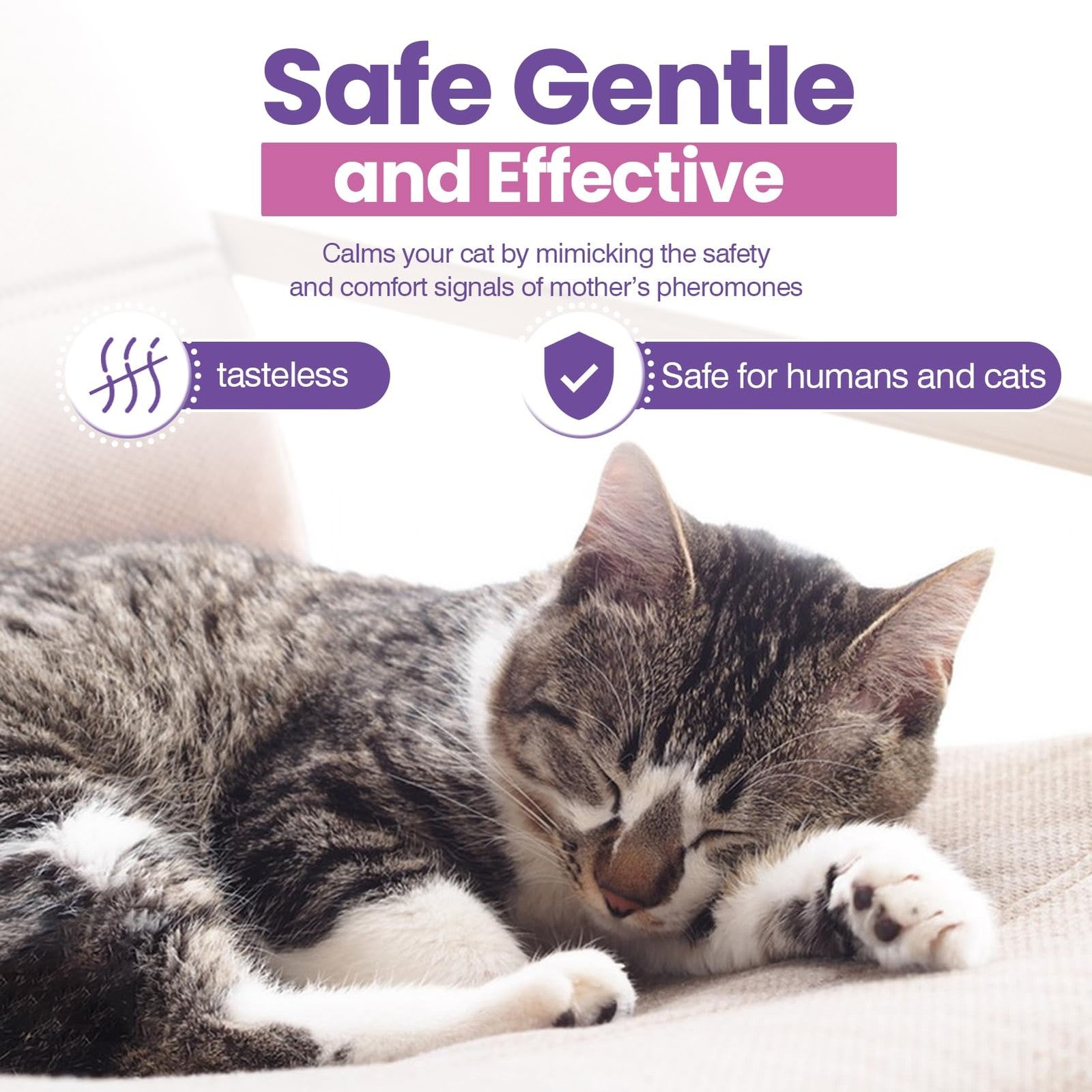TTLXRL cat pheromones calming diffuser refills 6-pack, scentless refills designed to reduce feline stress and promote relaxation.