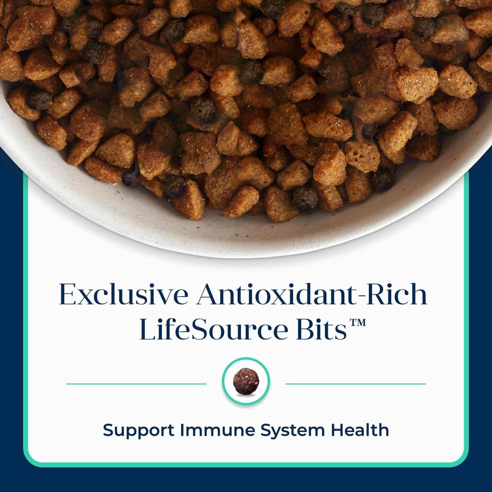 Blue Buffalo Basics grain-free small breed adult dog food with lamb and potato, showing kibble in a bowl.