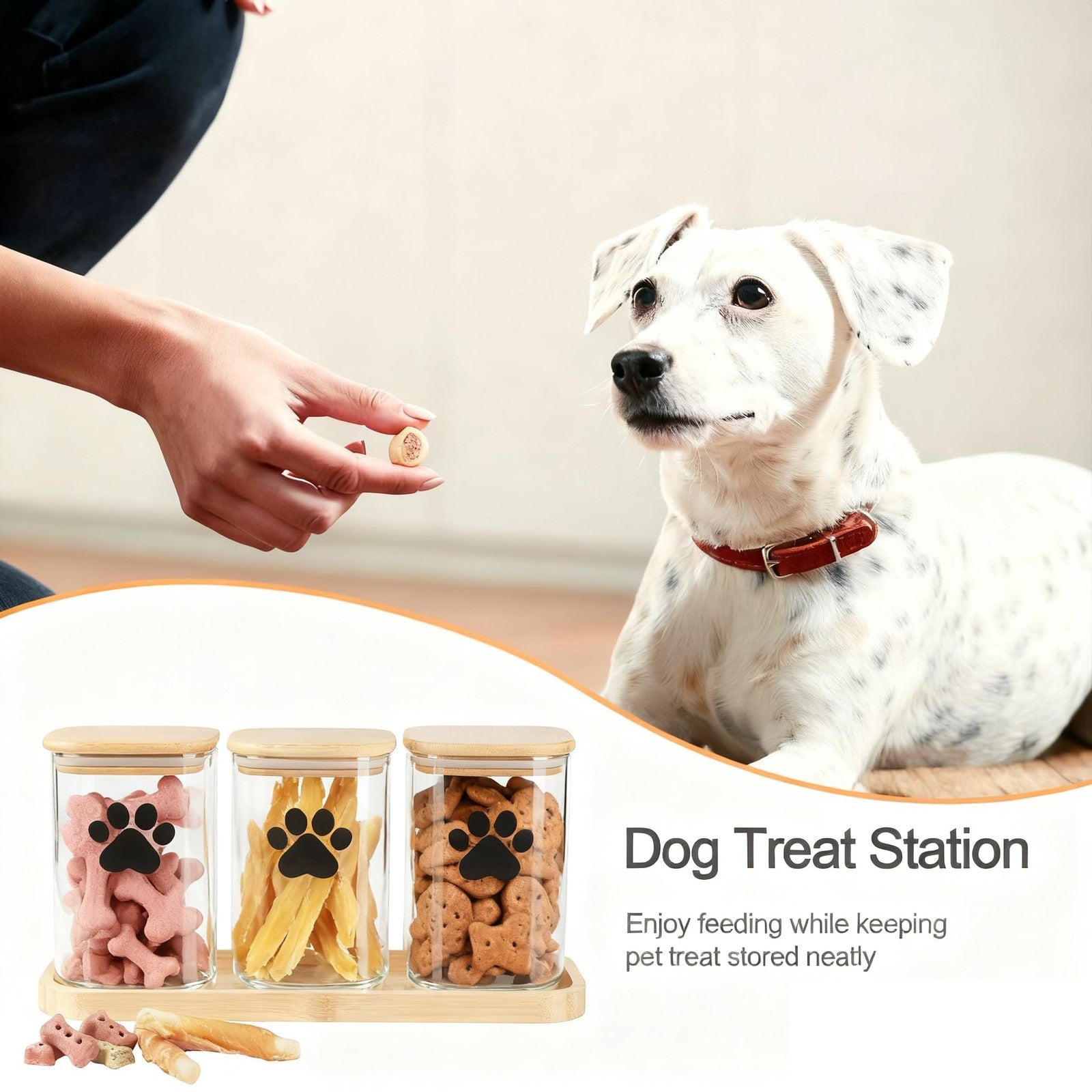 Set of 3 clear Brabtod glass dog treat jars with bamboo lids, each holding 37oz, ideal for storing pet treats.