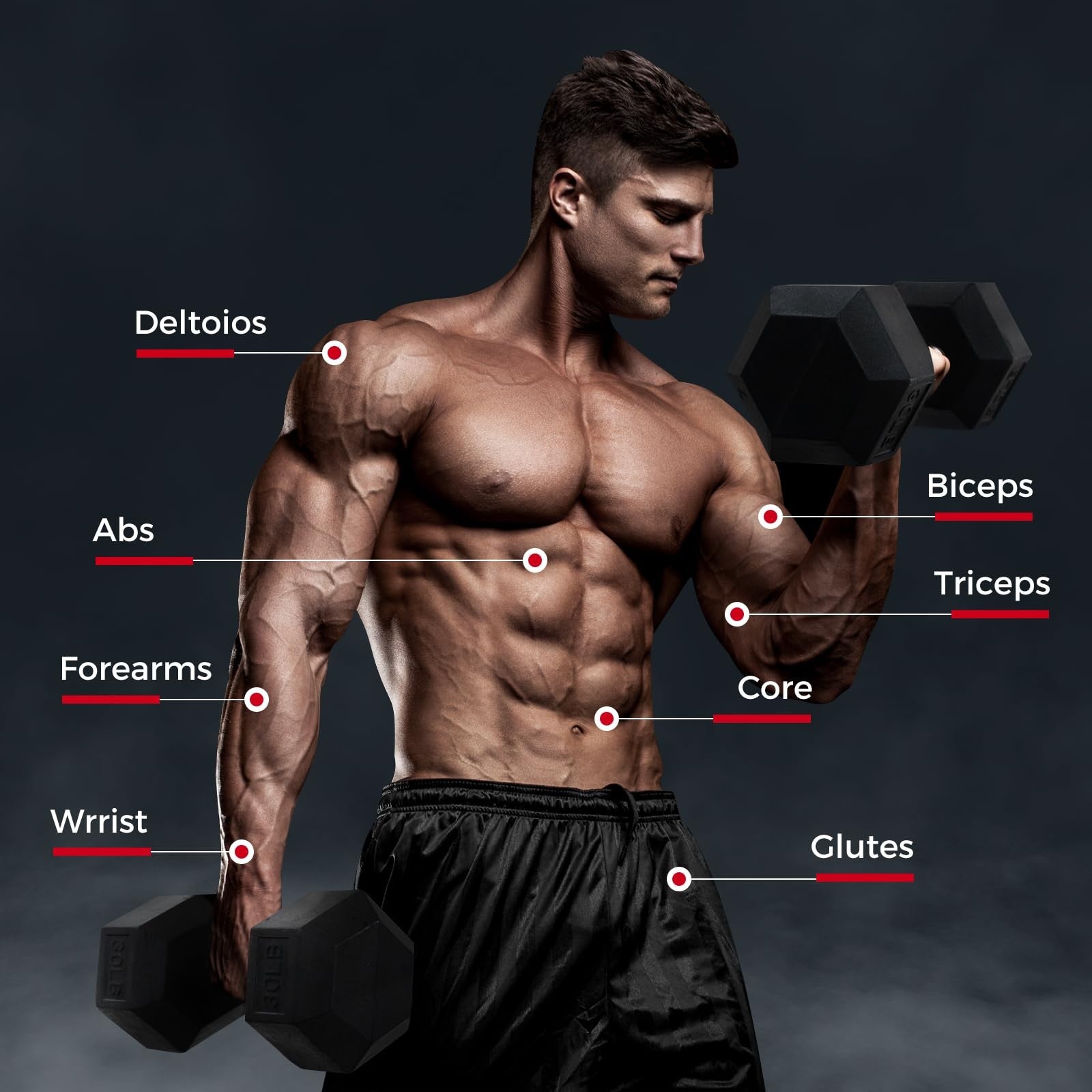 Pair of RitFit 10Lb rubber-encased dumbbells with a black workout rack for strength training and home fitness.