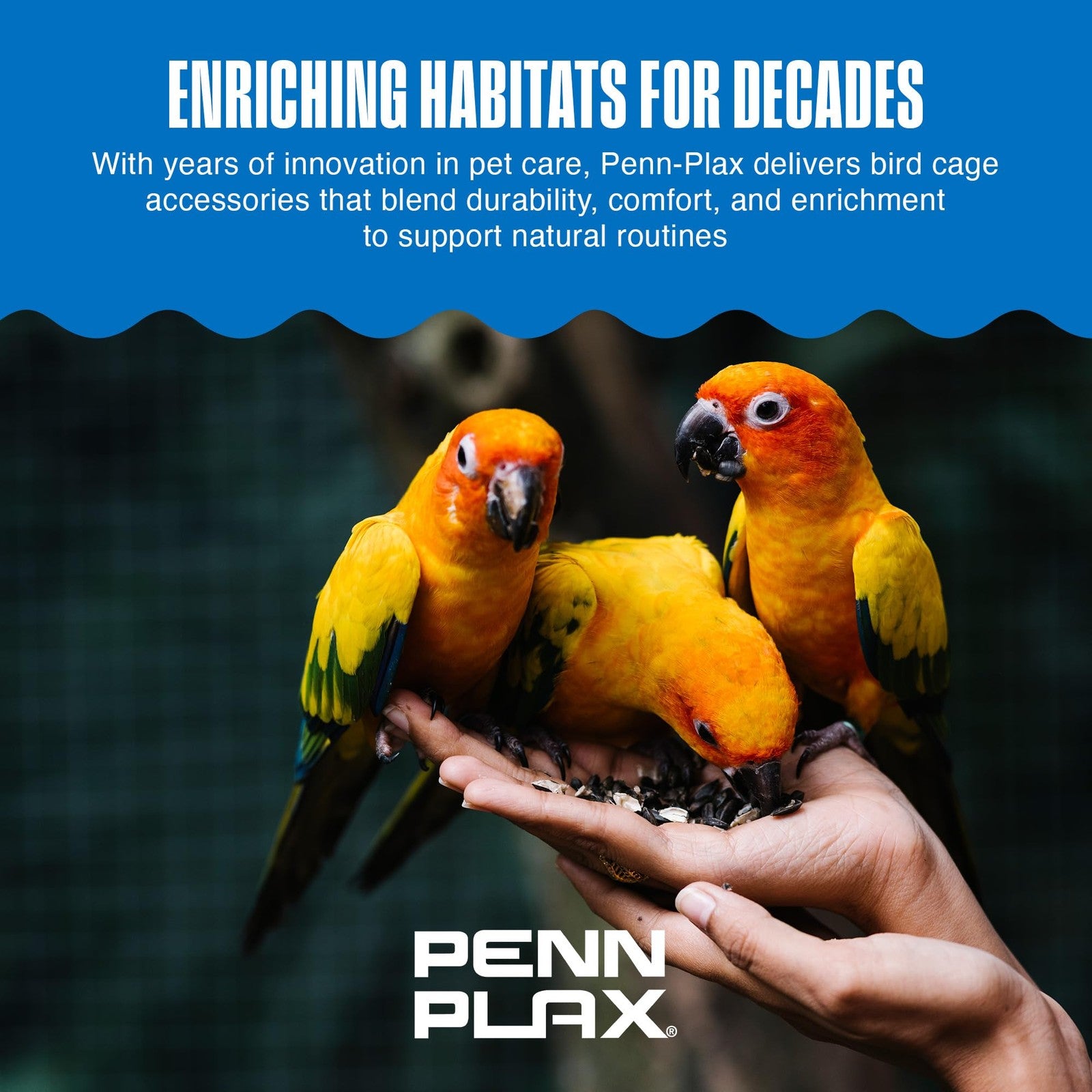 Penn-Plax Bird-Life Cement Trimmer perch with textured surface for natural nail and beak trimming for small pet birds.