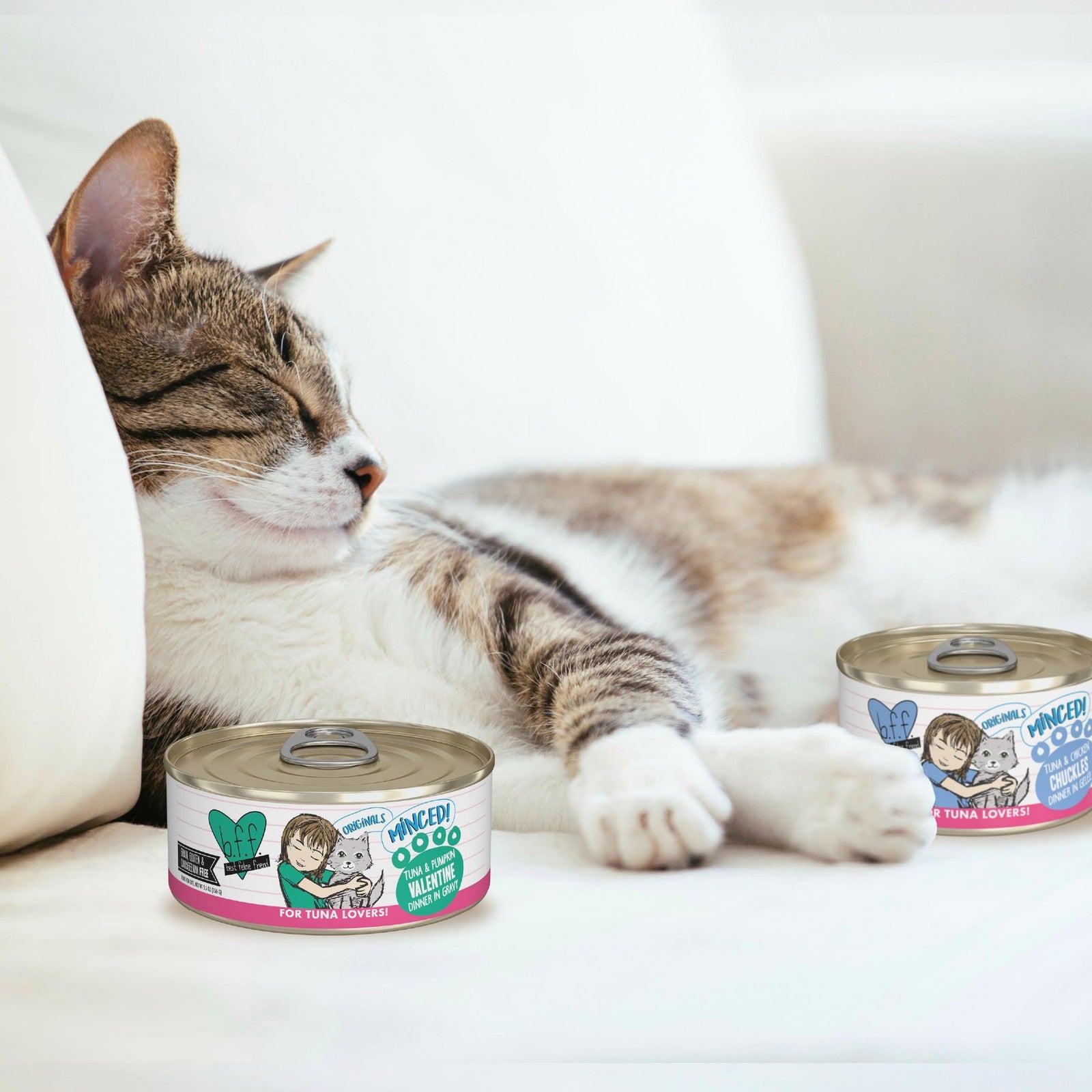 Weruva BFF Minced Wet Cat Food variety pack with 12 cans of 10oz each, featuring Big Feline Feast flavors for adult cats.
