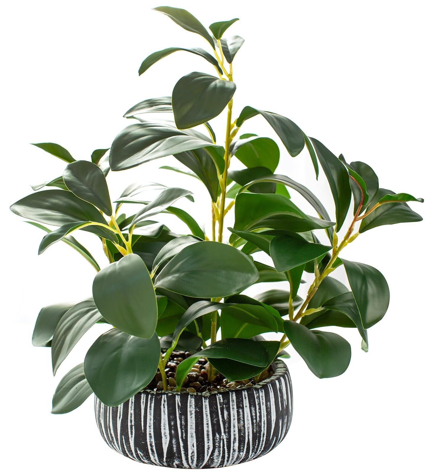 Artificial succulents plants decor by AlphaAcc, featuring realistic green potted succulents for indoor decoration.