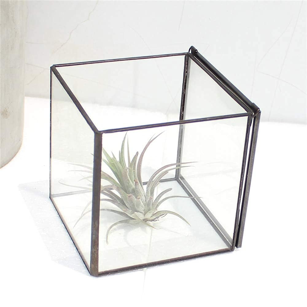Small square glass terrarium by Libproqia with geometric design, clear indoor decorative container with open top.
