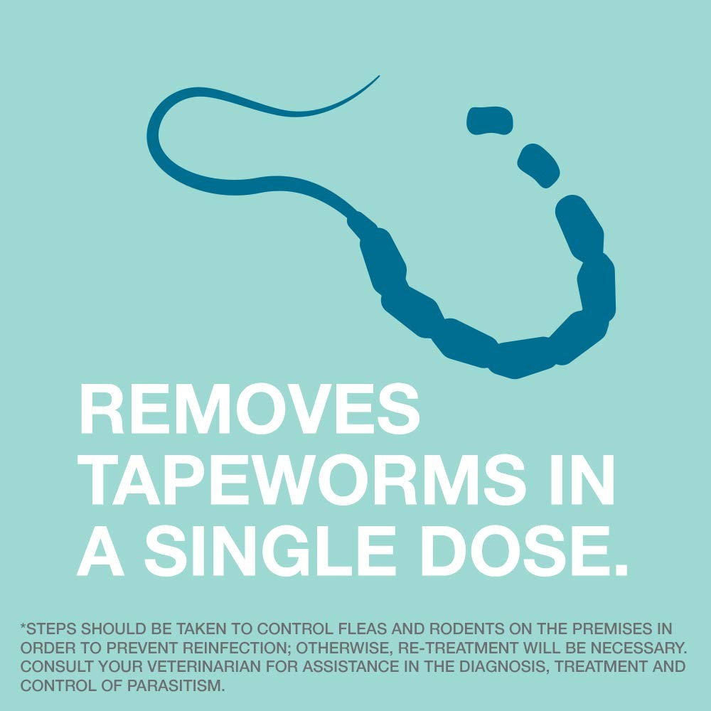 Elanco Tapeworm Dewormer Praziquantel tablets for dogs and puppies, 5-count box, showing tablets and packaging.