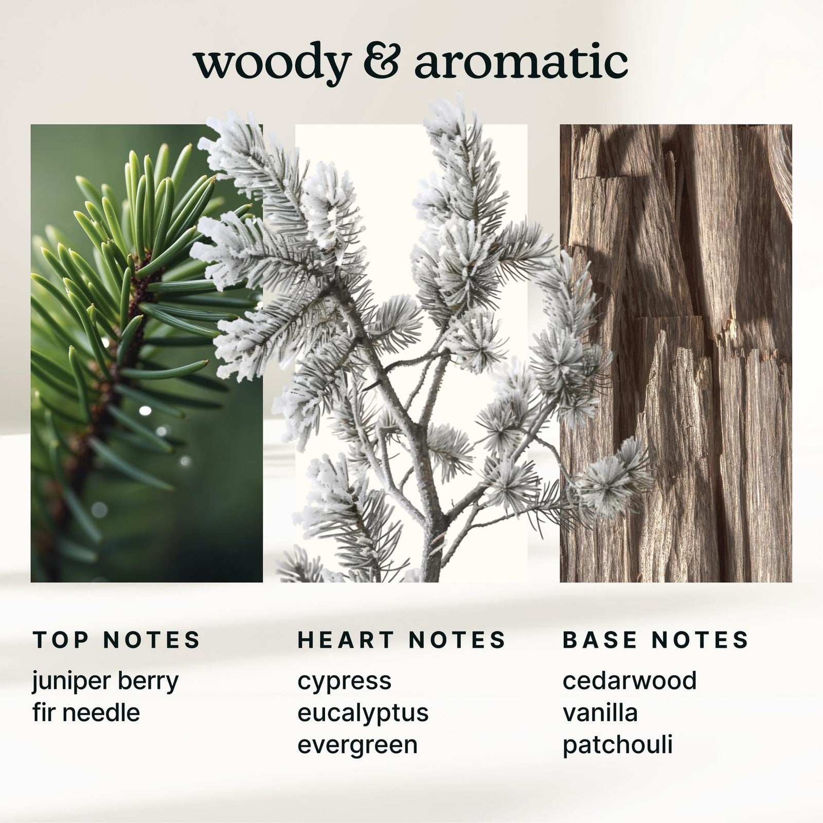 Homedics SereneScent waterless diffuser oil refill in frosted cypress scent, 120ml, for home fragrance and aromatherapy.