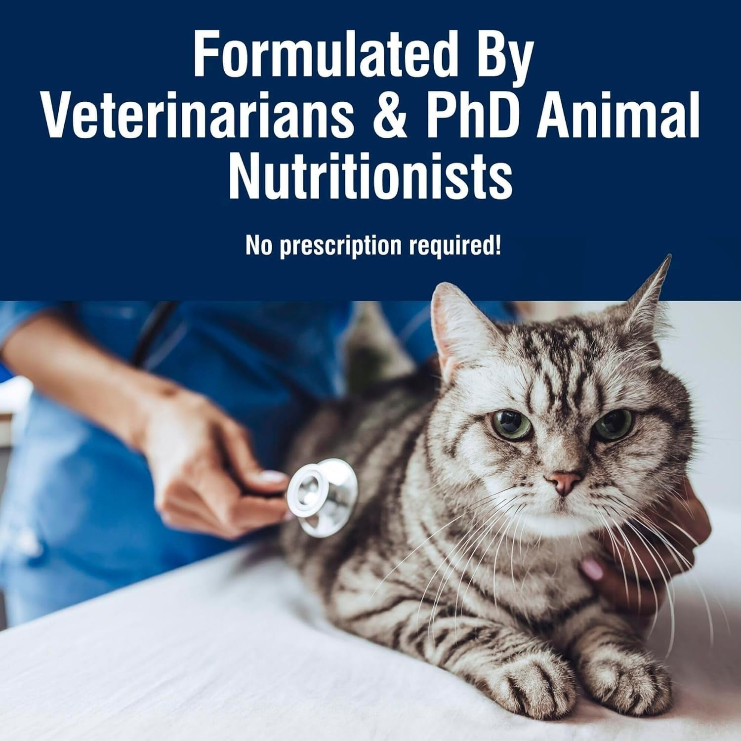 Blue Buffalo True Solutions Urinary Care wet cat food for adult cats with chicken, featuring the product packaging and serving suggestions.