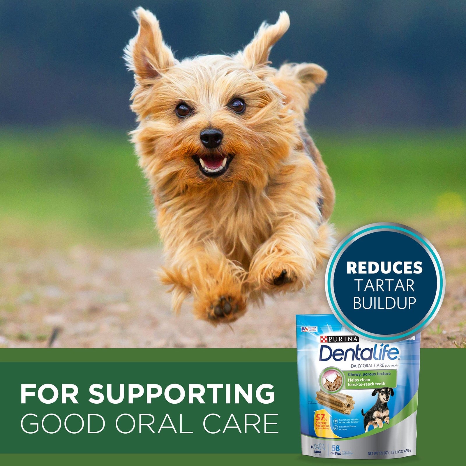 Purina ONE small breed dog food and treats bundle with Lamb and Rice flavor, featuring bags of dog food and treat packs.