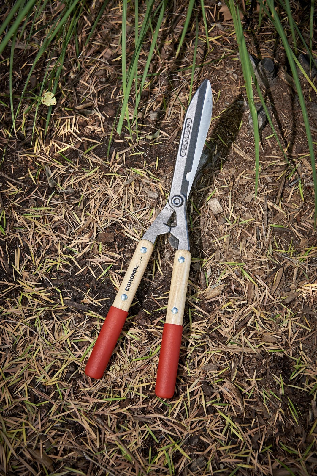 Corona HS 3911 forged hedge shear with 8-1/4 inch blade, durable steel construction, ideal for trimming bushes and hedges.