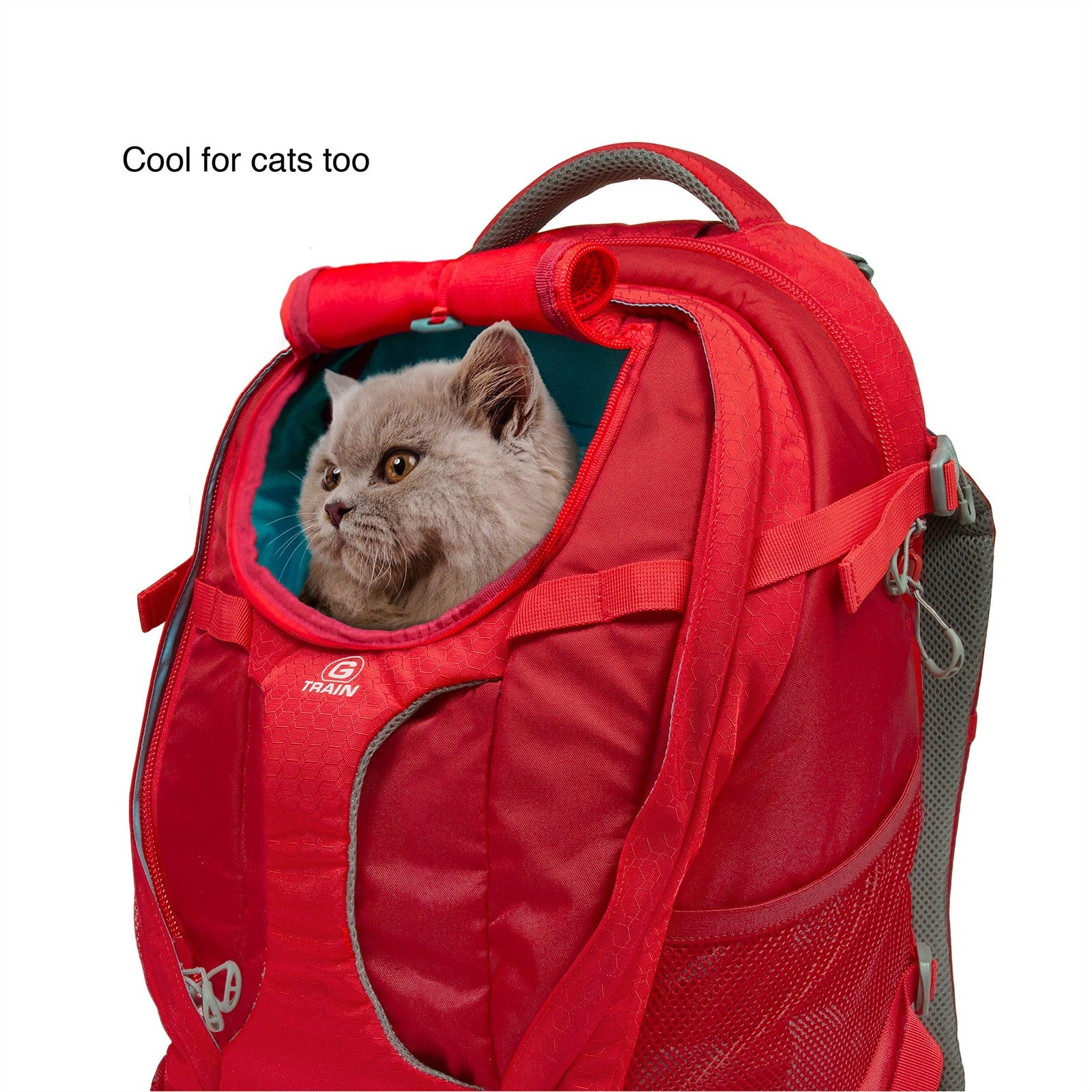 Kurgo G-Train dog carrier backpack showing adjustable straps and mesh panels for comfortable pet travel up to 25 pounds.