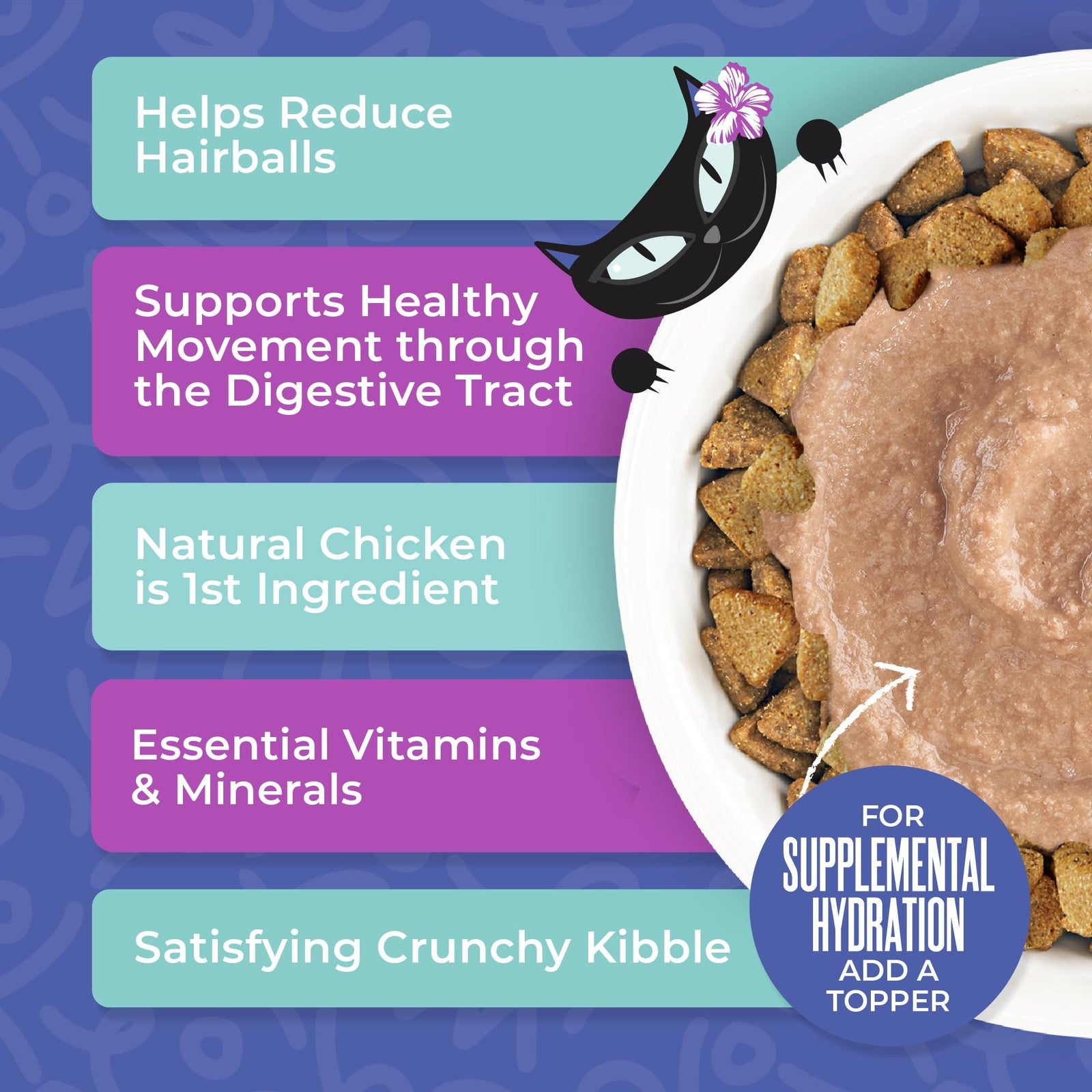 Tiki Cat Born Carnivore Chicken Dry Cat Food in 6 lbs bag, designed to control hairballs for adult cats.