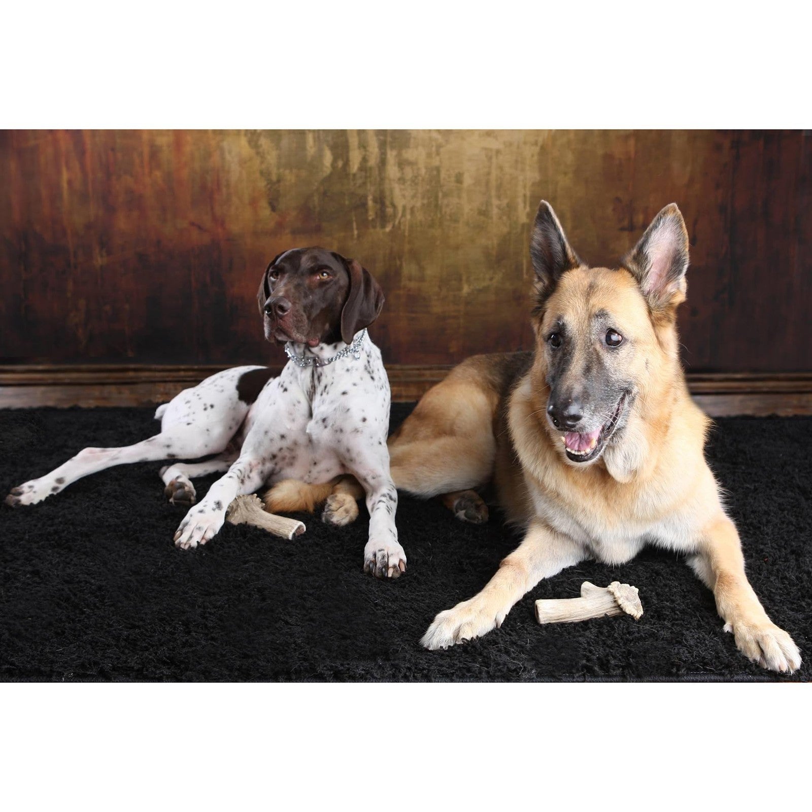 Scout & Zoe's Antler Splits for dogs, showing natural split antler chews in a close-up image.