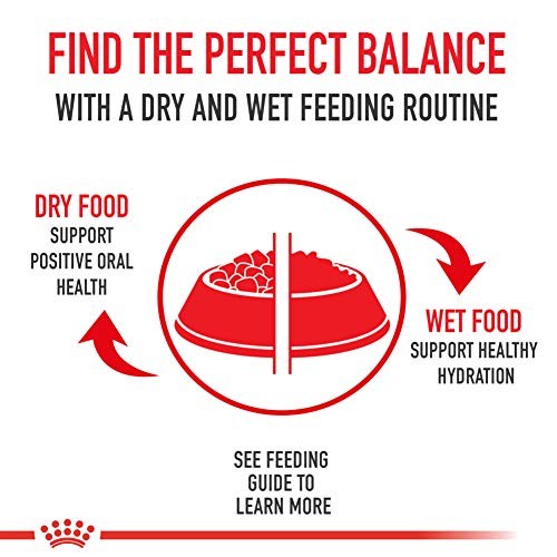 Royal Canin Canine Care Nutrition Medium Sensitive Skin Care adult dry dog food in a bag with kibble visible inside.