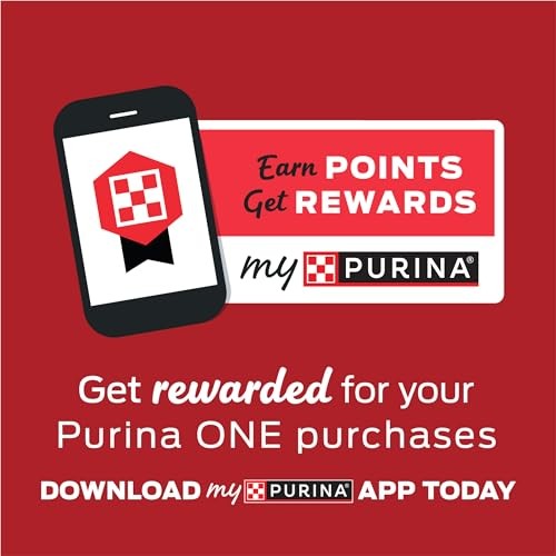 Bag of Purina ONE +Plus Healthy Weight high-protein dry dog food, 31.1 lb, featuring kibble and weight management ingredients.