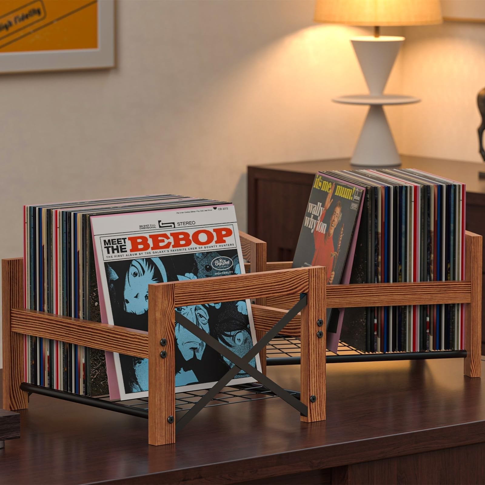 X-cosrack vinyl record holder for 7 to 12-inch albums, holds 50 to 100 records, durable storage for vinyl collections