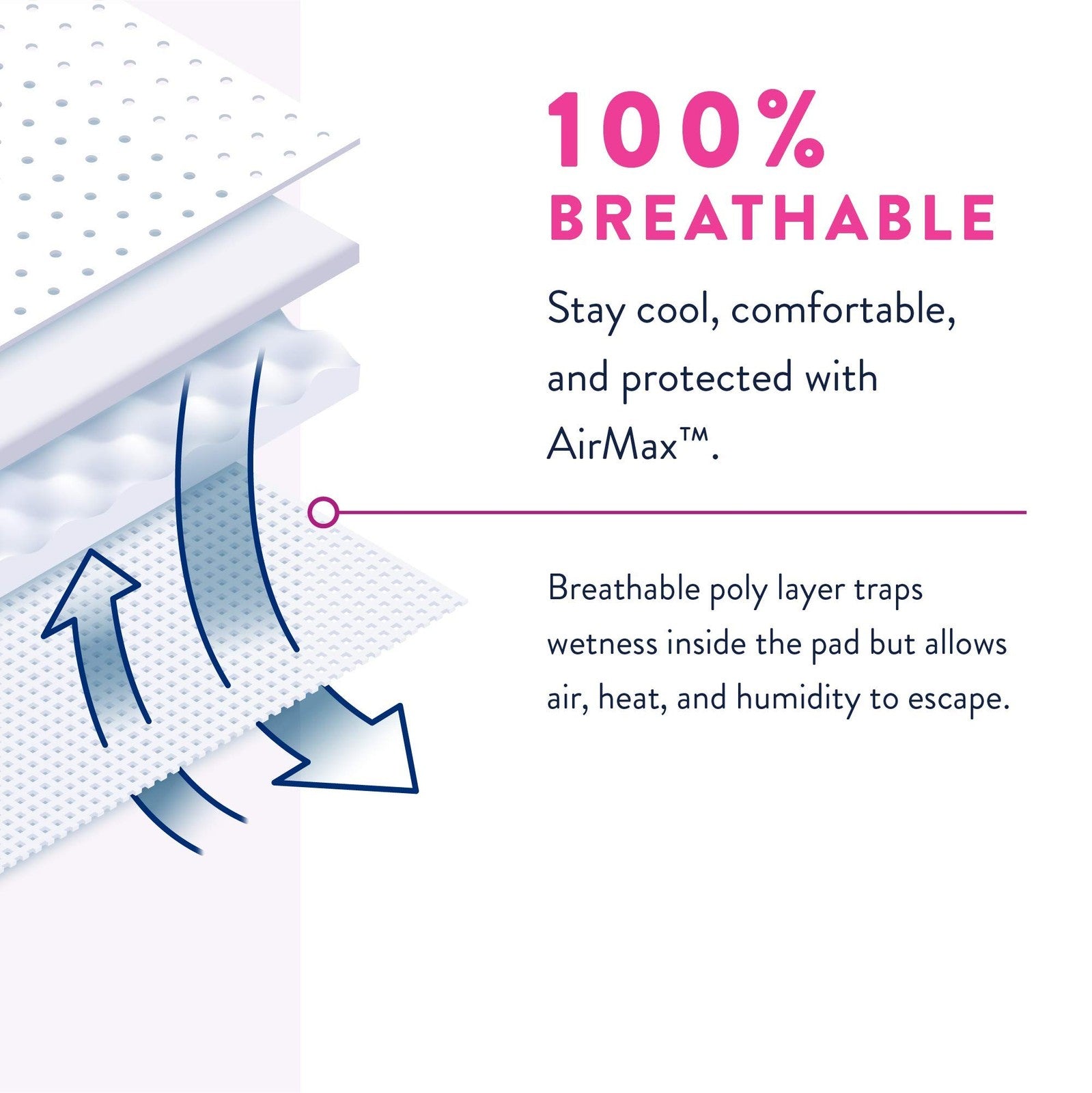 Prevail Proven small/medium incontinence pull-up underwear for women, featuring discreet protective design and comfortable fit.