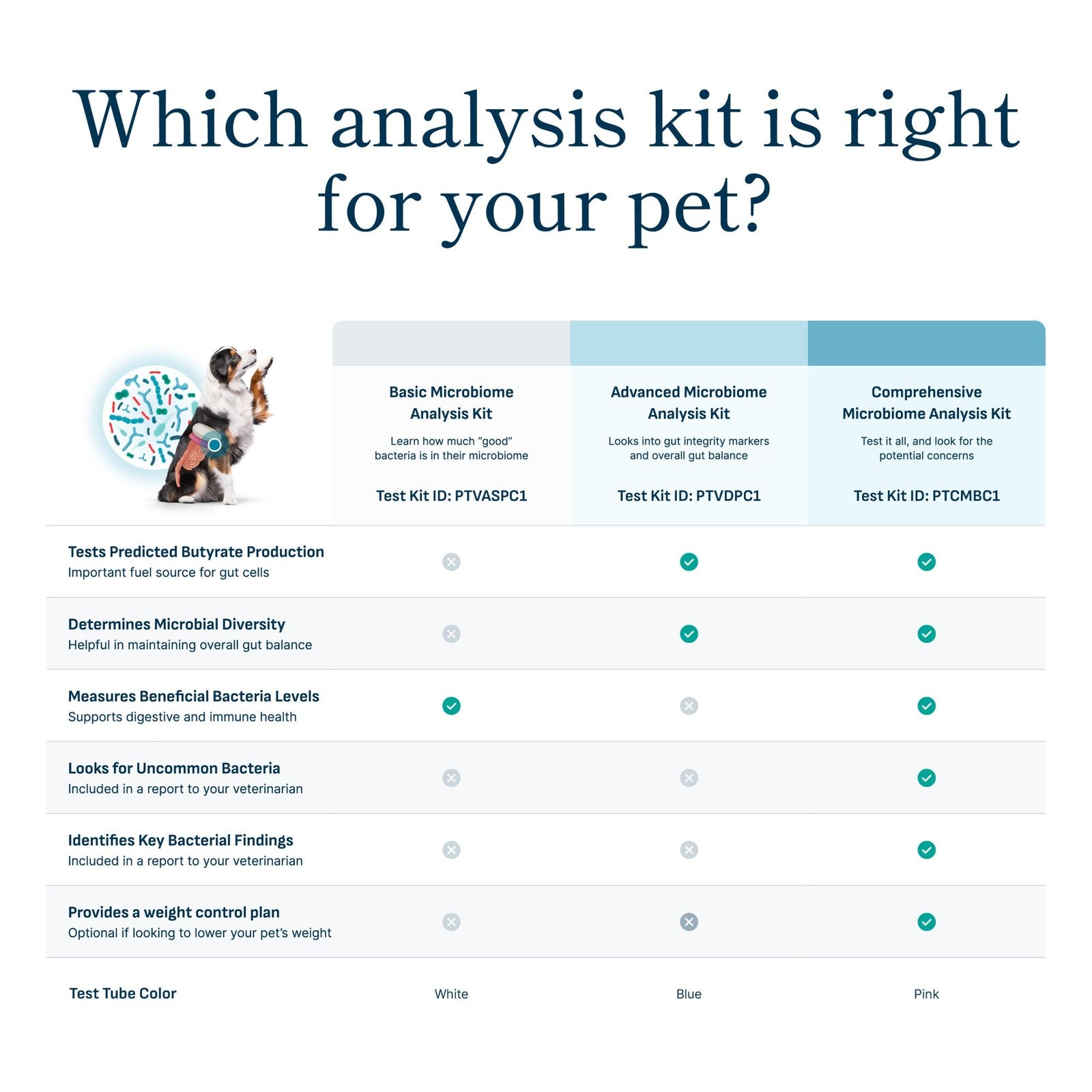 Petivity Microbiome Analysis Kit for cats and dogs, basic version, showing the kit components and packaging.