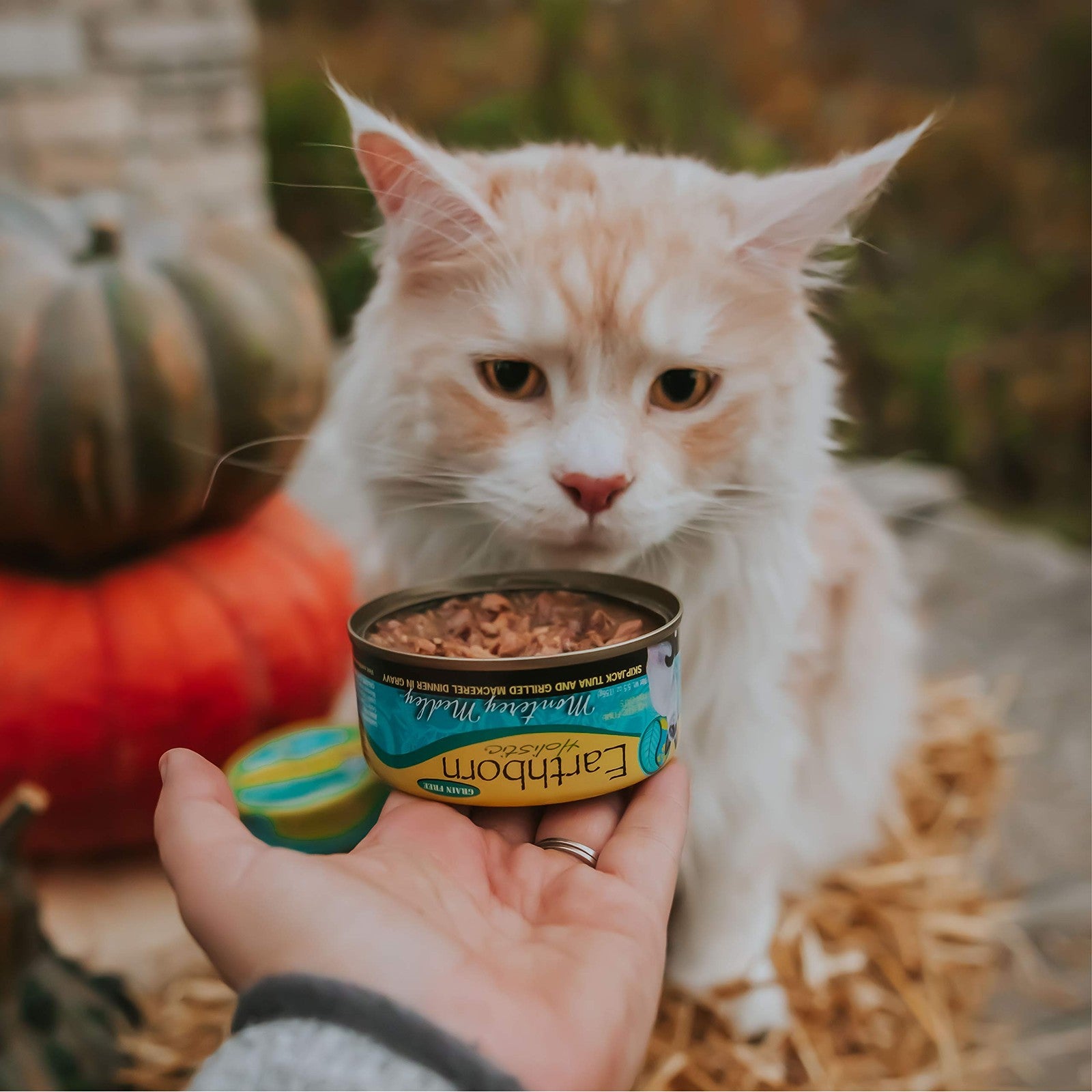 Earthborn Holistic Monterey Medley wet dog food with skipjack tuna and grilled mackerel, showing the canned product with seafood chunks.