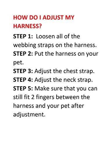 Best Pet Supplies Voyager step-in air all-weather mesh dog harness with reflective leash, 5 ft length, lightweight and adjustable.