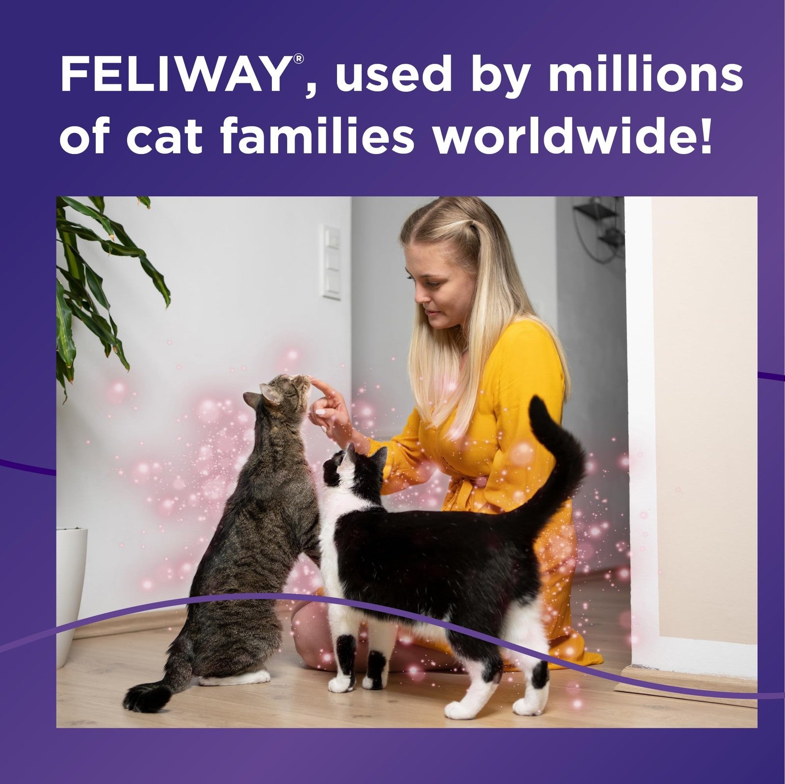 FELIWAY MultiCat calming pheromone diffuser with 2 refill bottles, designed to reduce stress in multi-cat households.