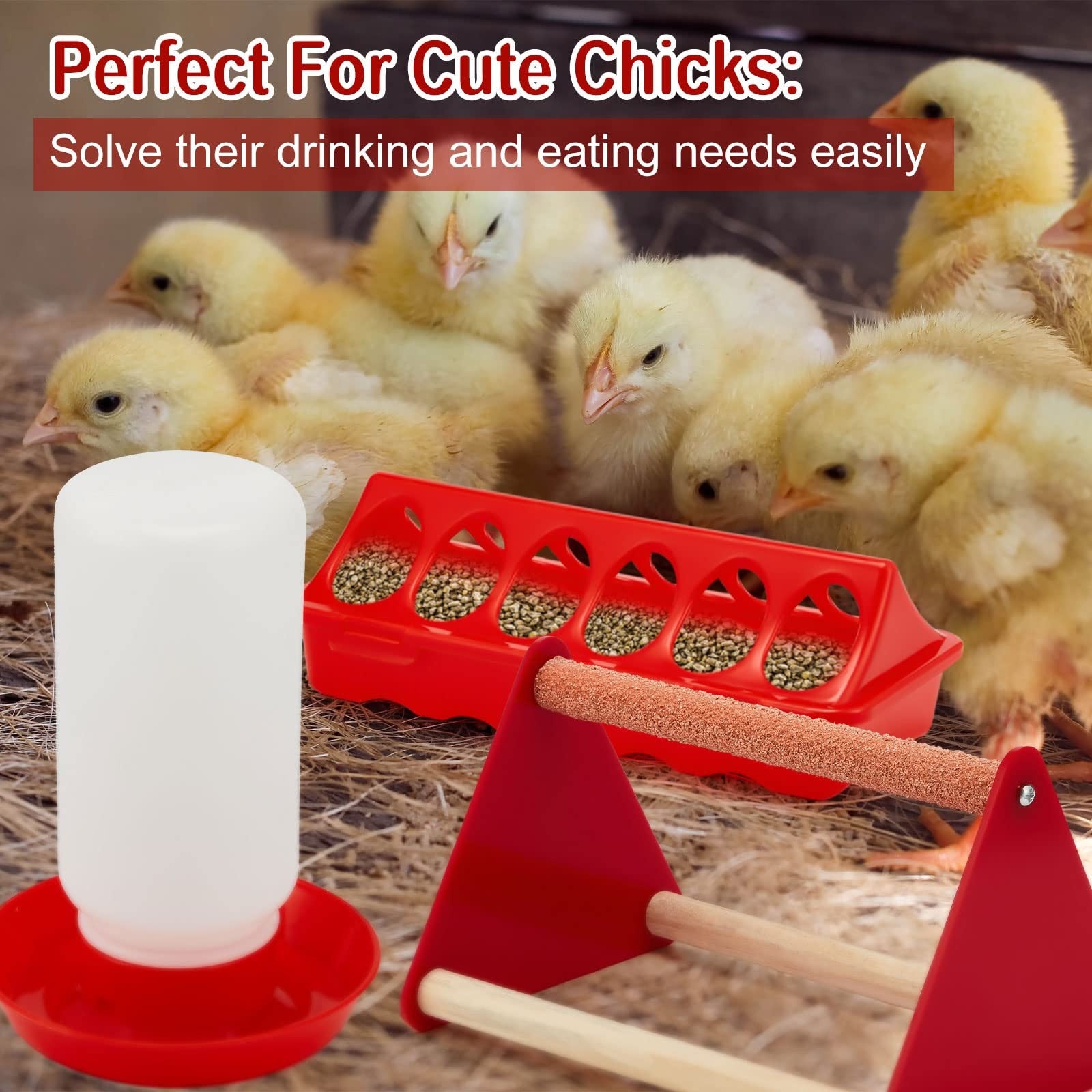 Patelai 12-piece chick feeder and waterer kit with mini perches, featuring plastic containers and feeding supplies for young chickens.