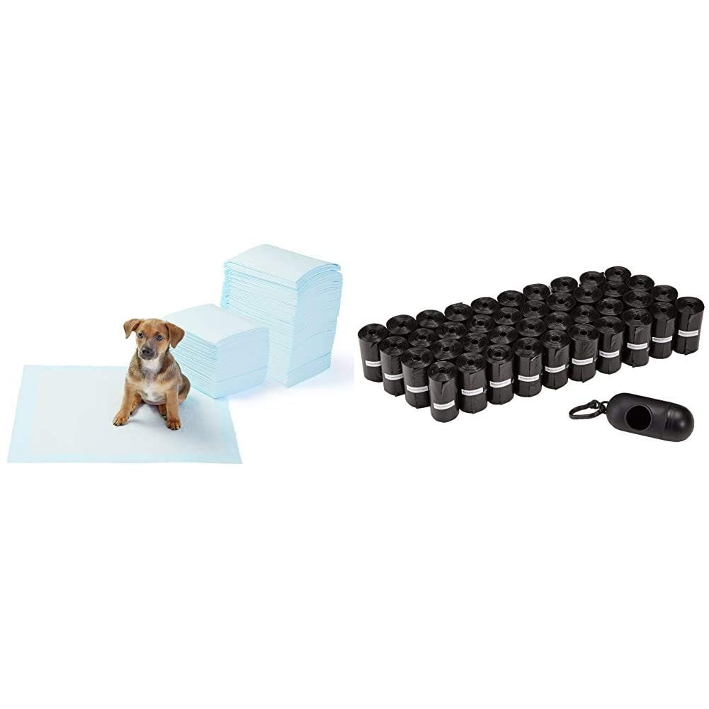 Amazon Basics dog waste bags and training pads, 600-pack and 150-pack, shown in a convenient storage box with bags and pads visible.
