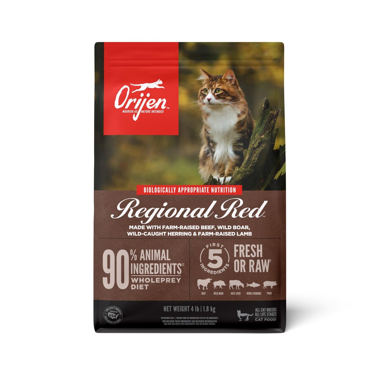 Bag of ORIJEN Grain Free High Protein Dry Cat Food, Regional Red Recipe, 4lb bag with visible branding and food kibble