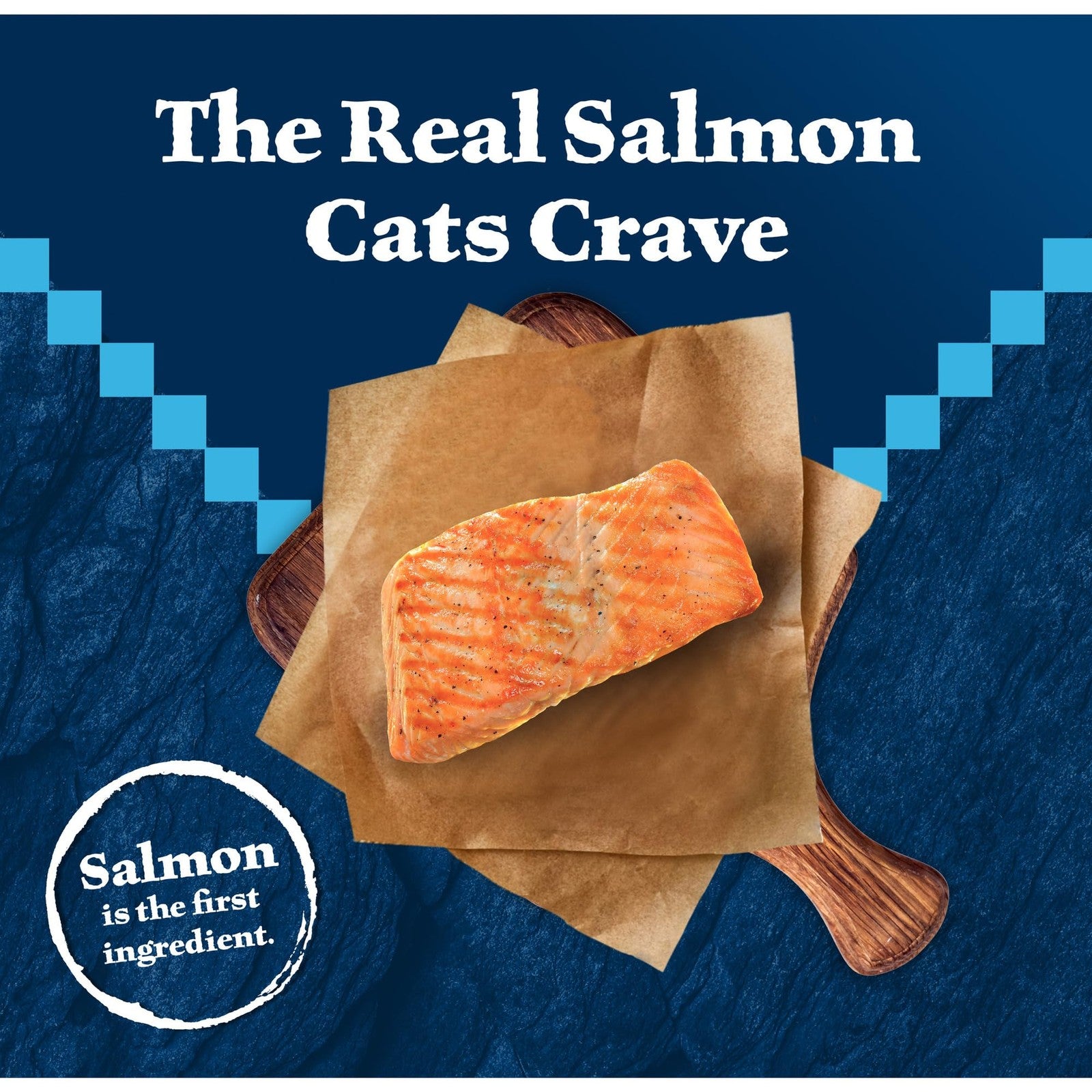 Blue Buffalo Wilderness grain-free dry cat food with salmon, high protein formula, in a blue bag for cats.