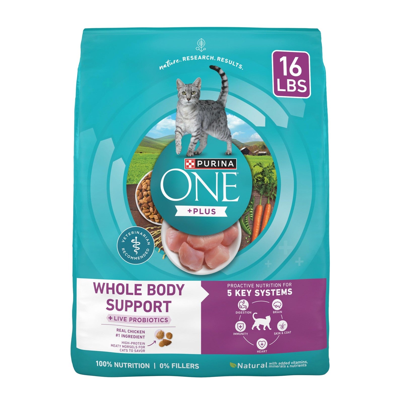 Bag of Purina ONE Whole Body Support Chicken Dry Cat Food, 16 lb, showing the cat food bag with branding and product details.