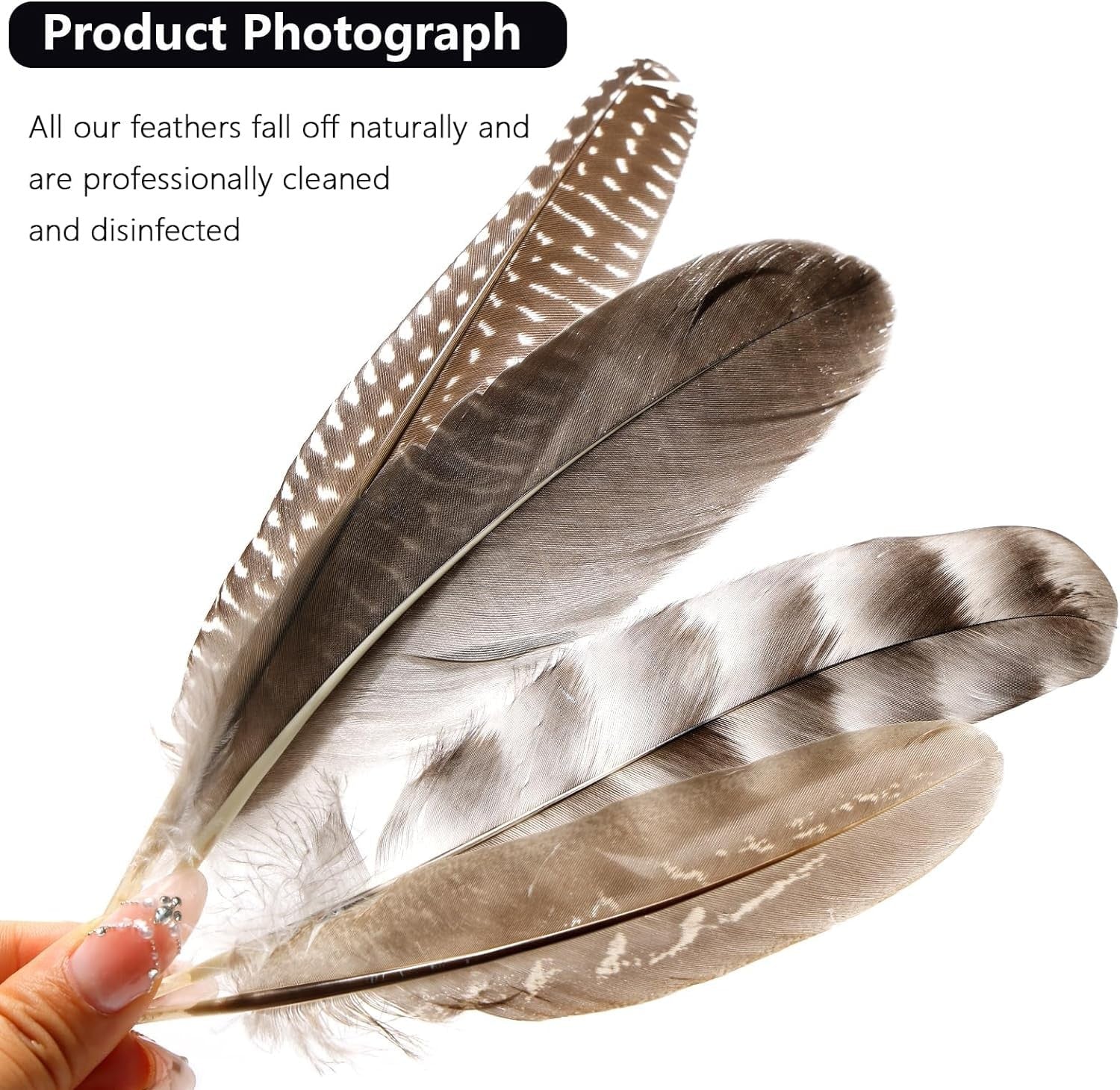 Natural spotted guinea fowl wing feathers from THARAHT, 24 pieces, 6-8 inches long, with black and white speckled pattern.