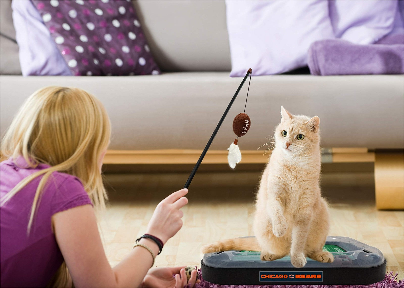 Pets First NFL Chicago Bears cat scratcher toy resembling a football field with Bears logo and turf design for cats.