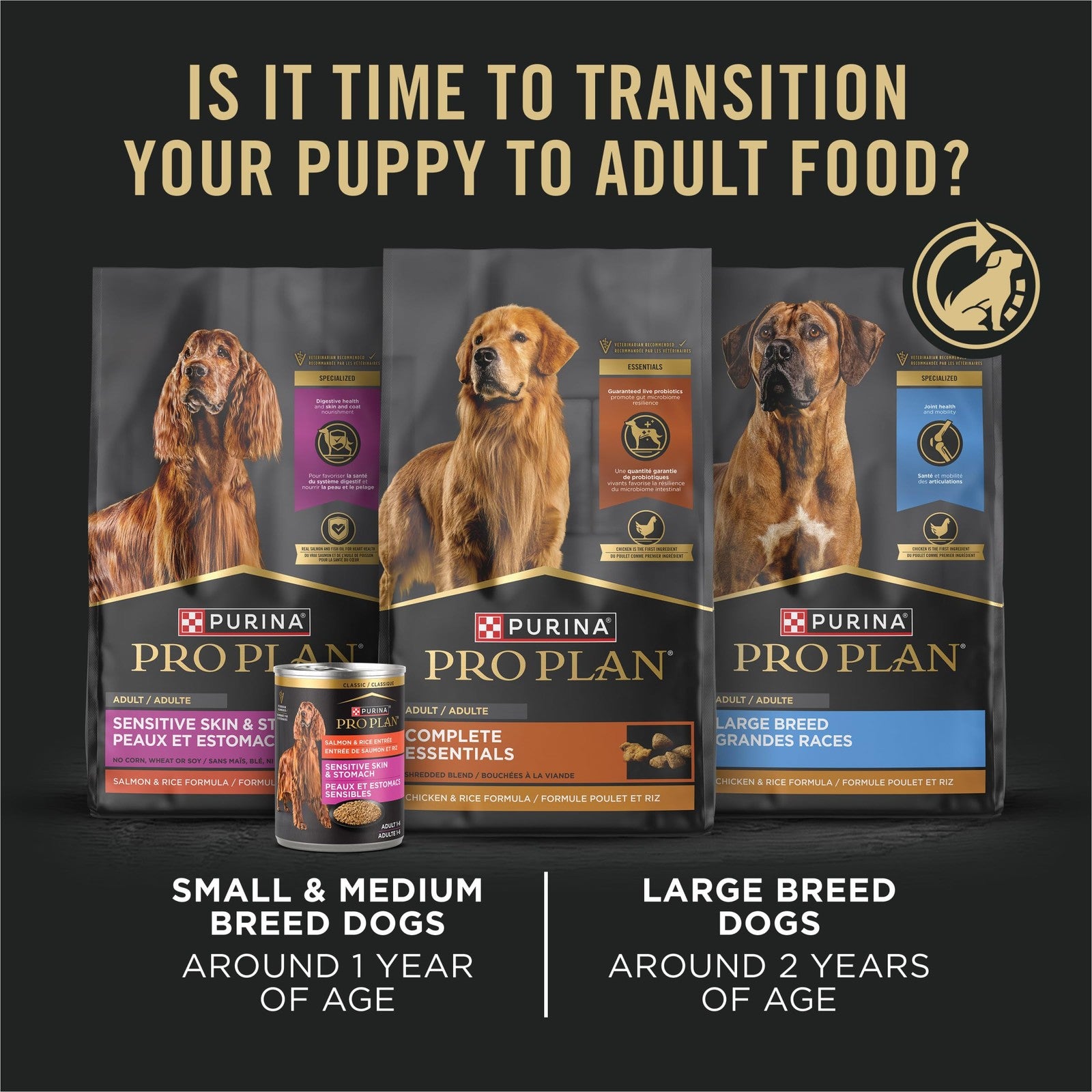 Purina Pro Plan Sport high protein wet puppy food with beef, rice, and chicken in a bowl.