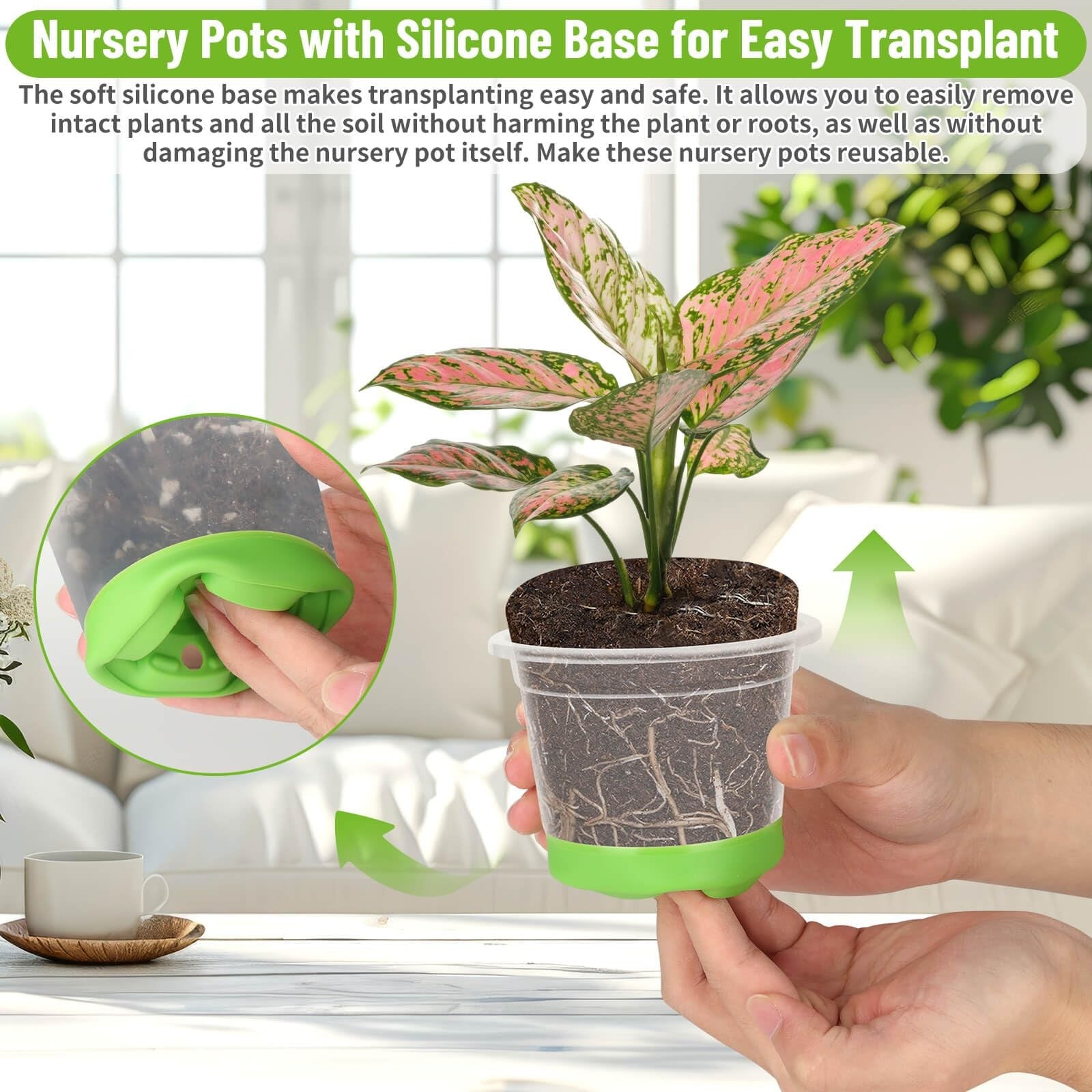 Caffox 57-piece reusable seed starter kit with 26 clear 4-inch nursery pots for planting and gardening.