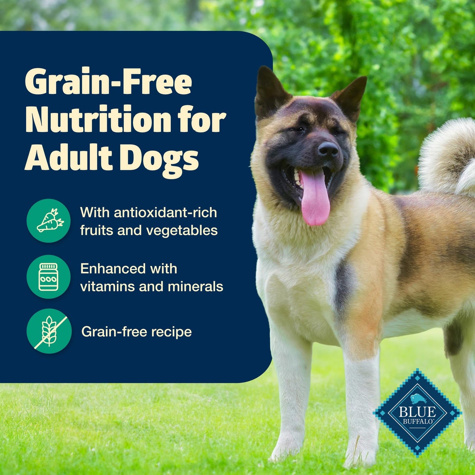 Blue Buffalo Freedom grain-free wet dog food cans featuring lamb flavor, 12.5 oz each, 12-pack, with colorful labels and dog food imagery.