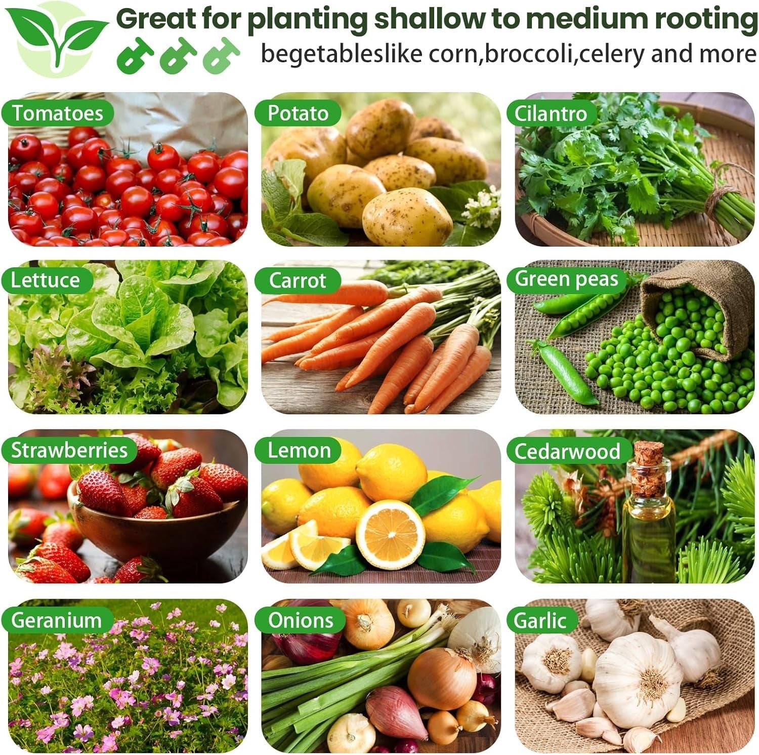 Four galvanized raised garden beds with a 4x2ft rectangular design, suitable for outdoor above-ground gardening.