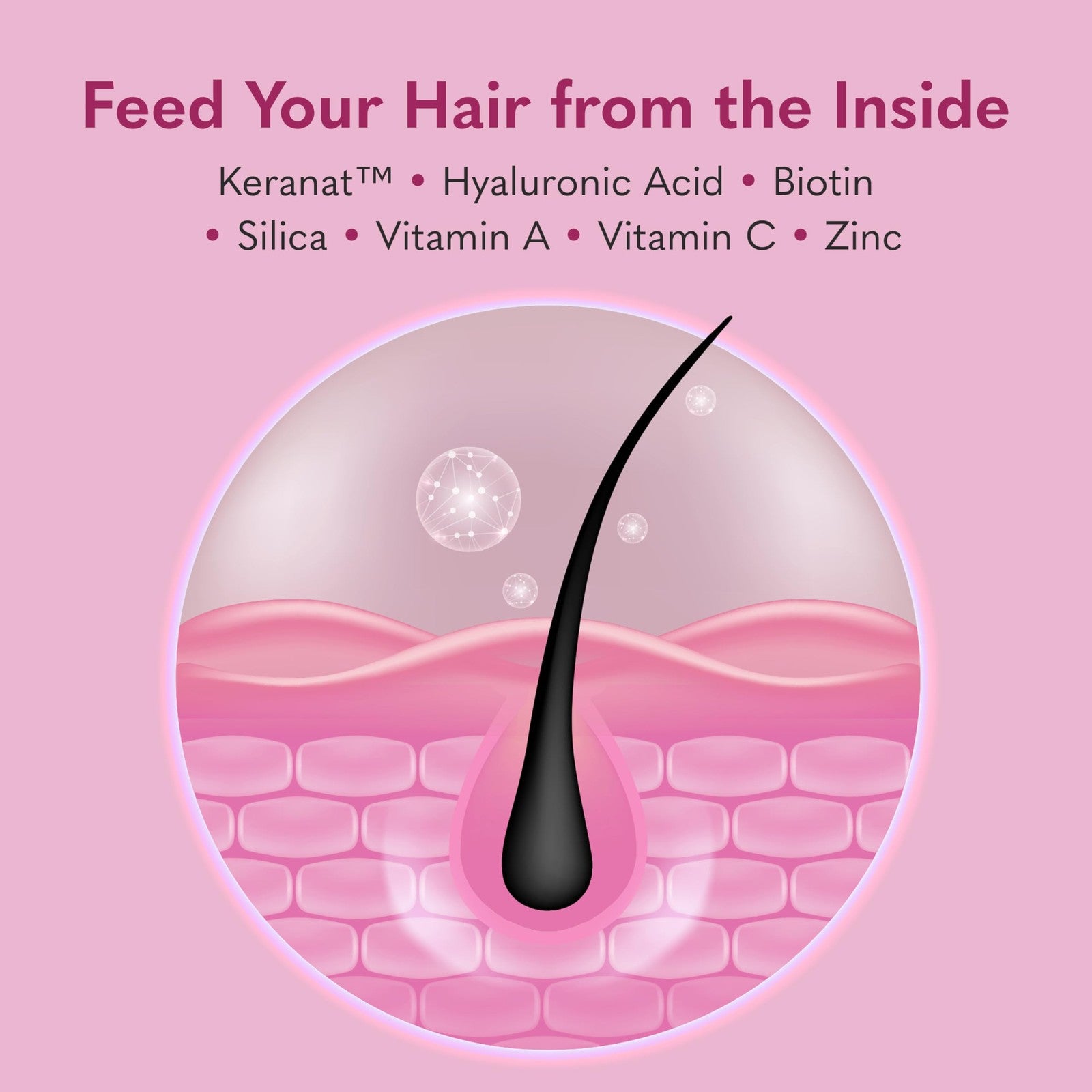 Garden of Life Hair Growth DuoCaps for women and men, 30 count, showing the supplement bottles with labels and capsules inside.